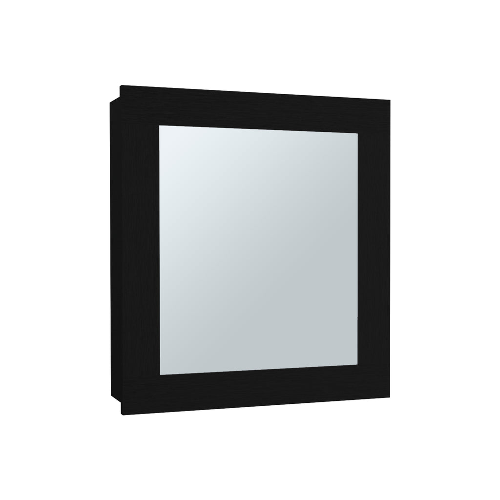 25009177