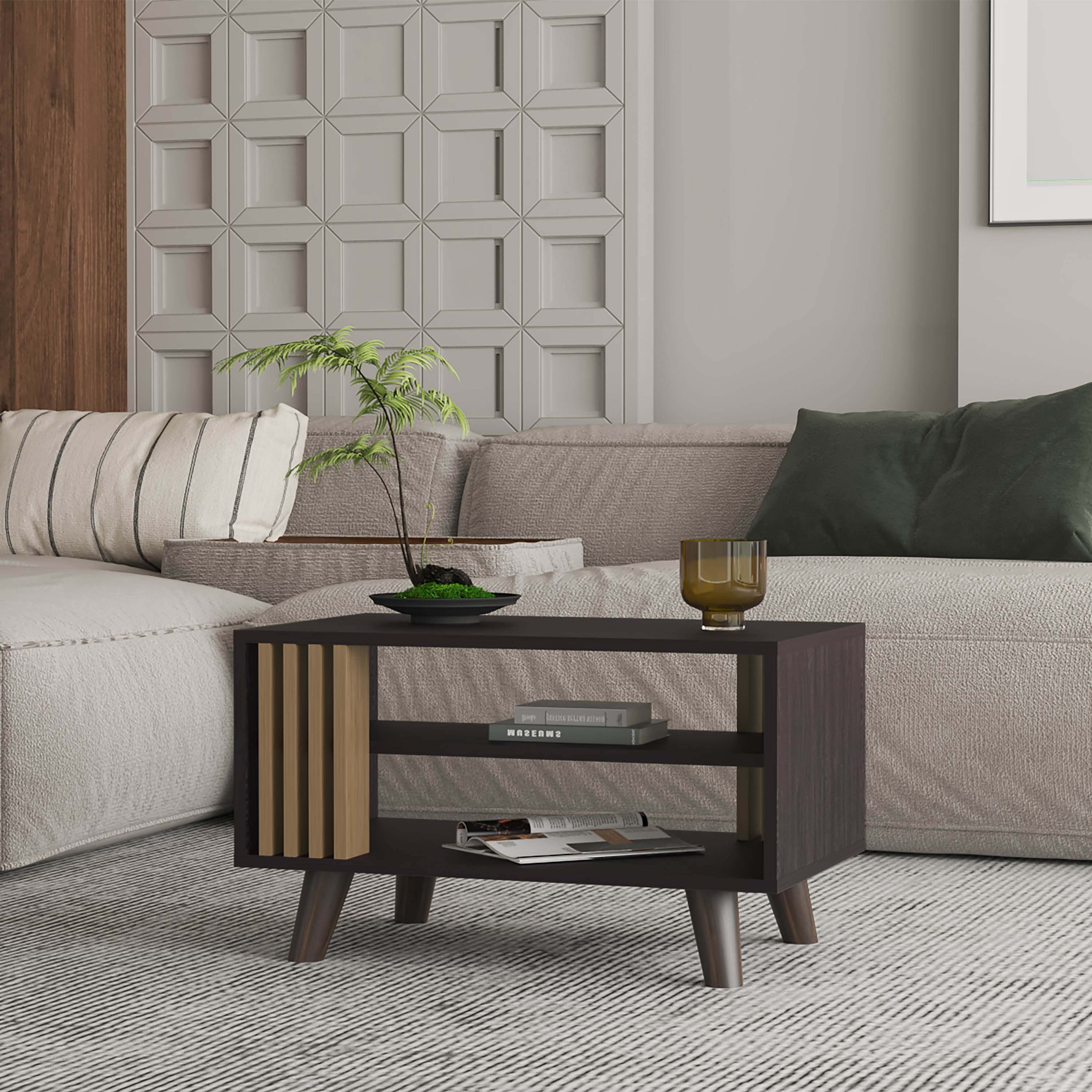 Wenge and Natural Oak Coffee Table with Open Storage
