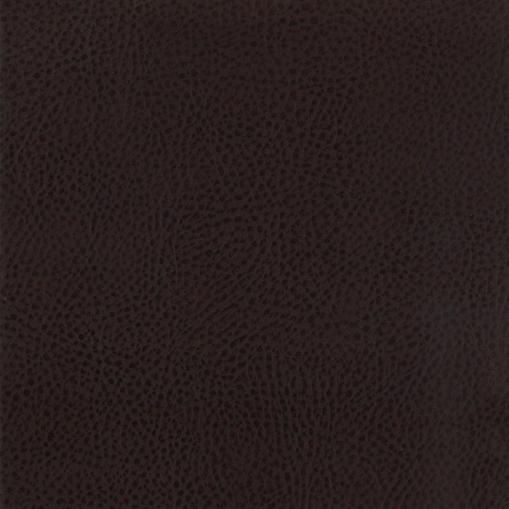 25019160