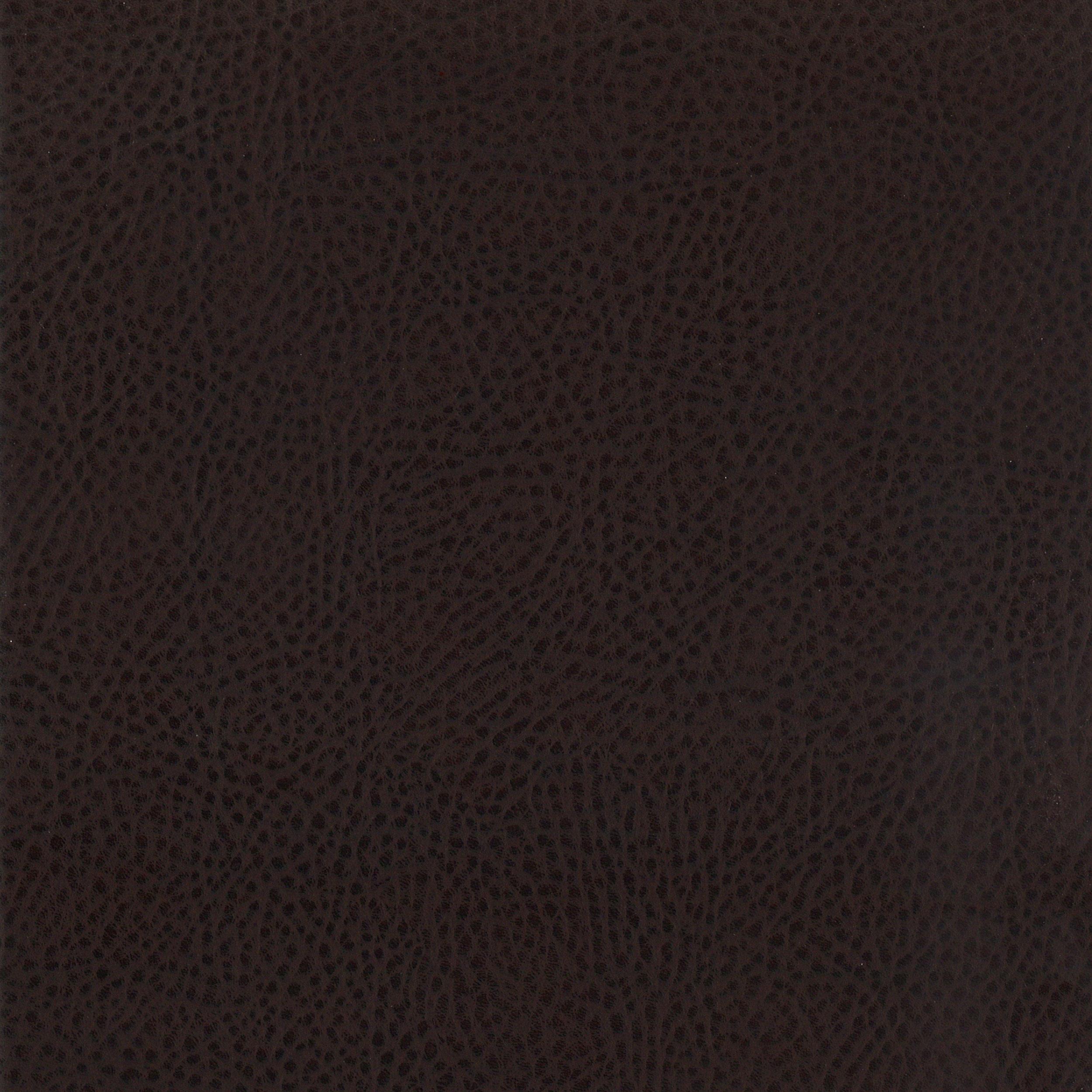 25019160
