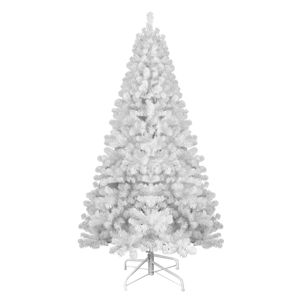 25023584