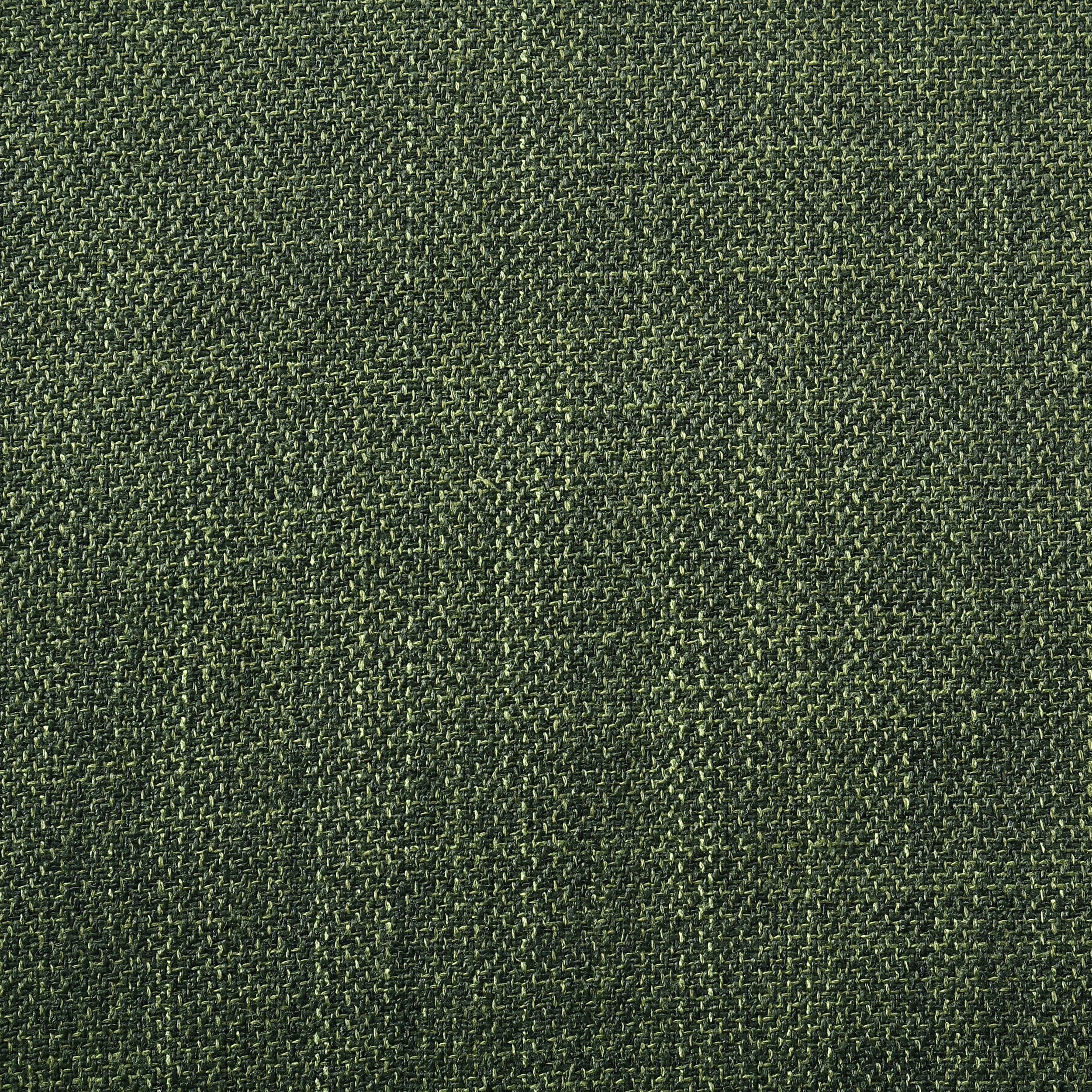 25019708