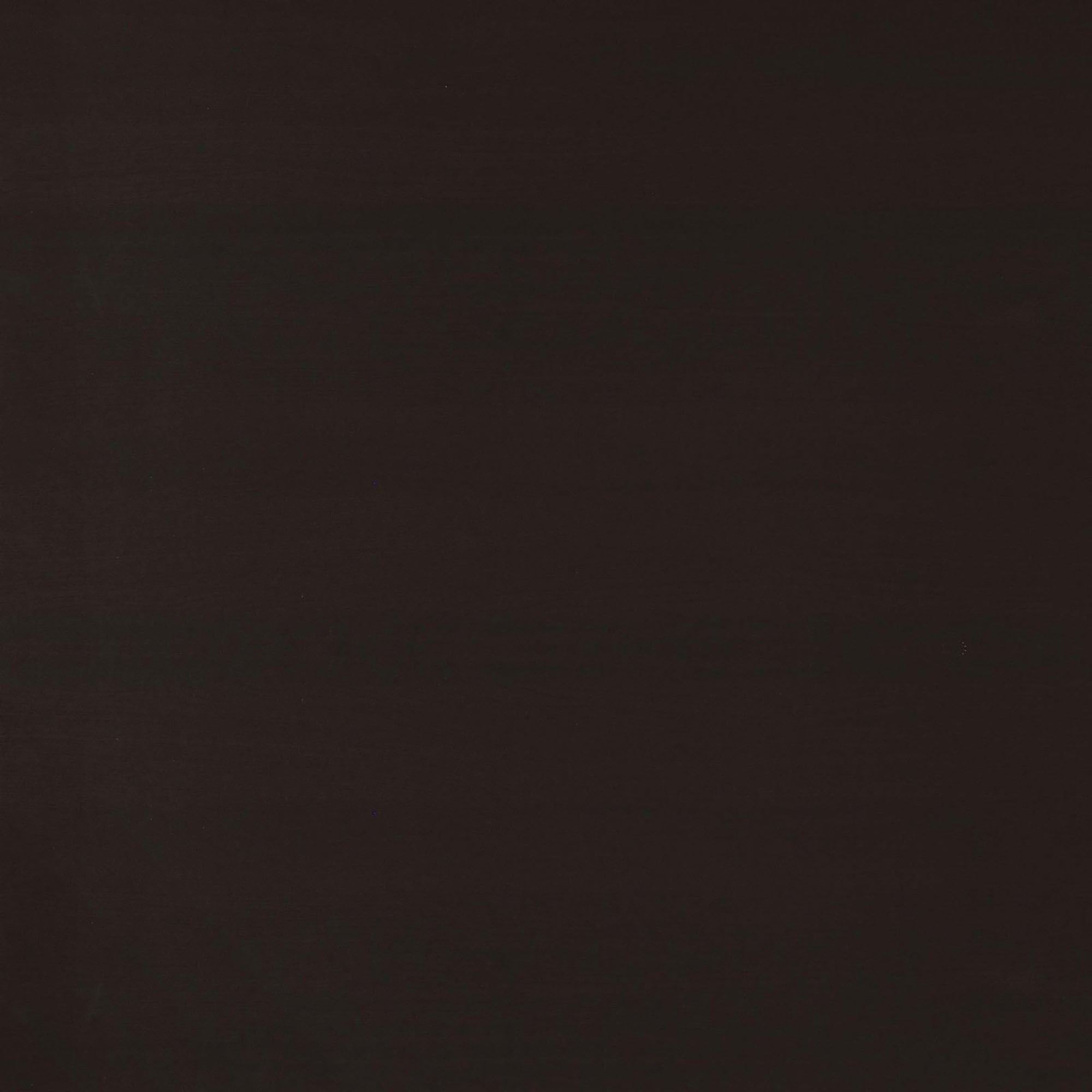 25013808