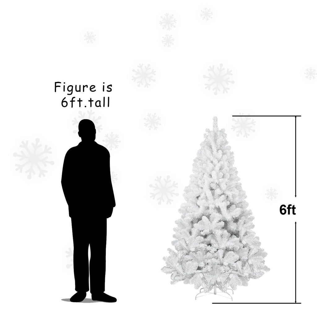 25023504