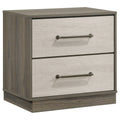 Edmondson Grey Oak 2-Drawer Nightstand with Almond Drawer Fronts, Wood Finish, Modern Minimalist Design