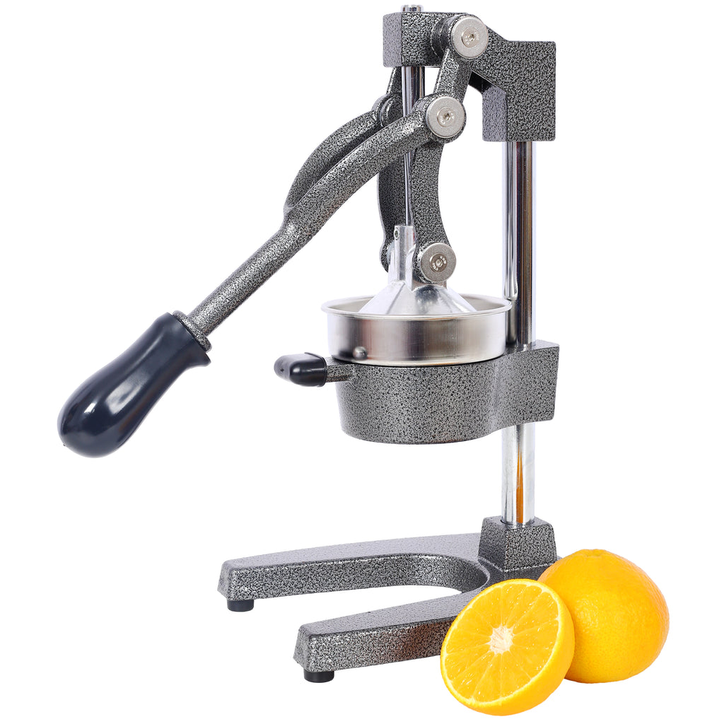 24980954