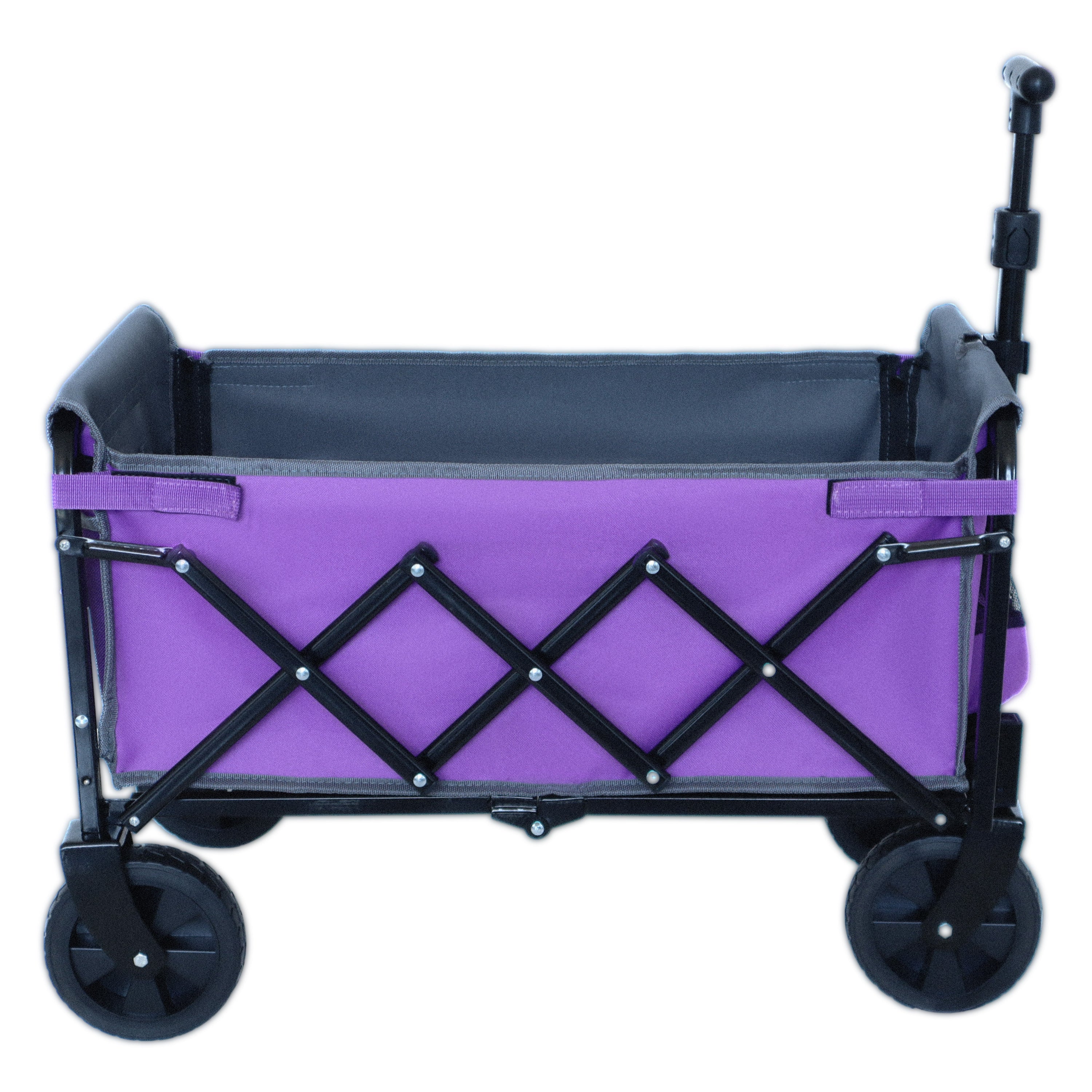 25006407