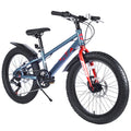 20 Inch Kids Bicycles , Fat Tire Mountain Bike for Boys and Girls Age 5 + Years ,7-Speed Dual-Disc Brake ,Kids Beach and Snow Bicycle