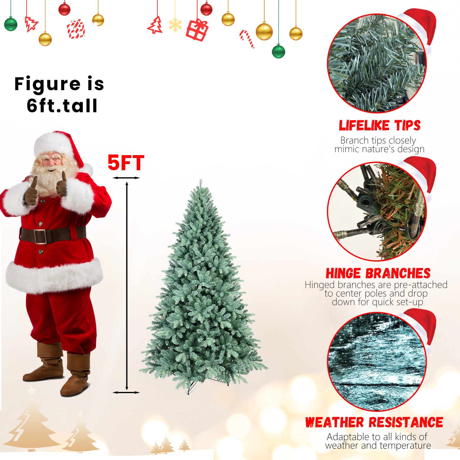25025136