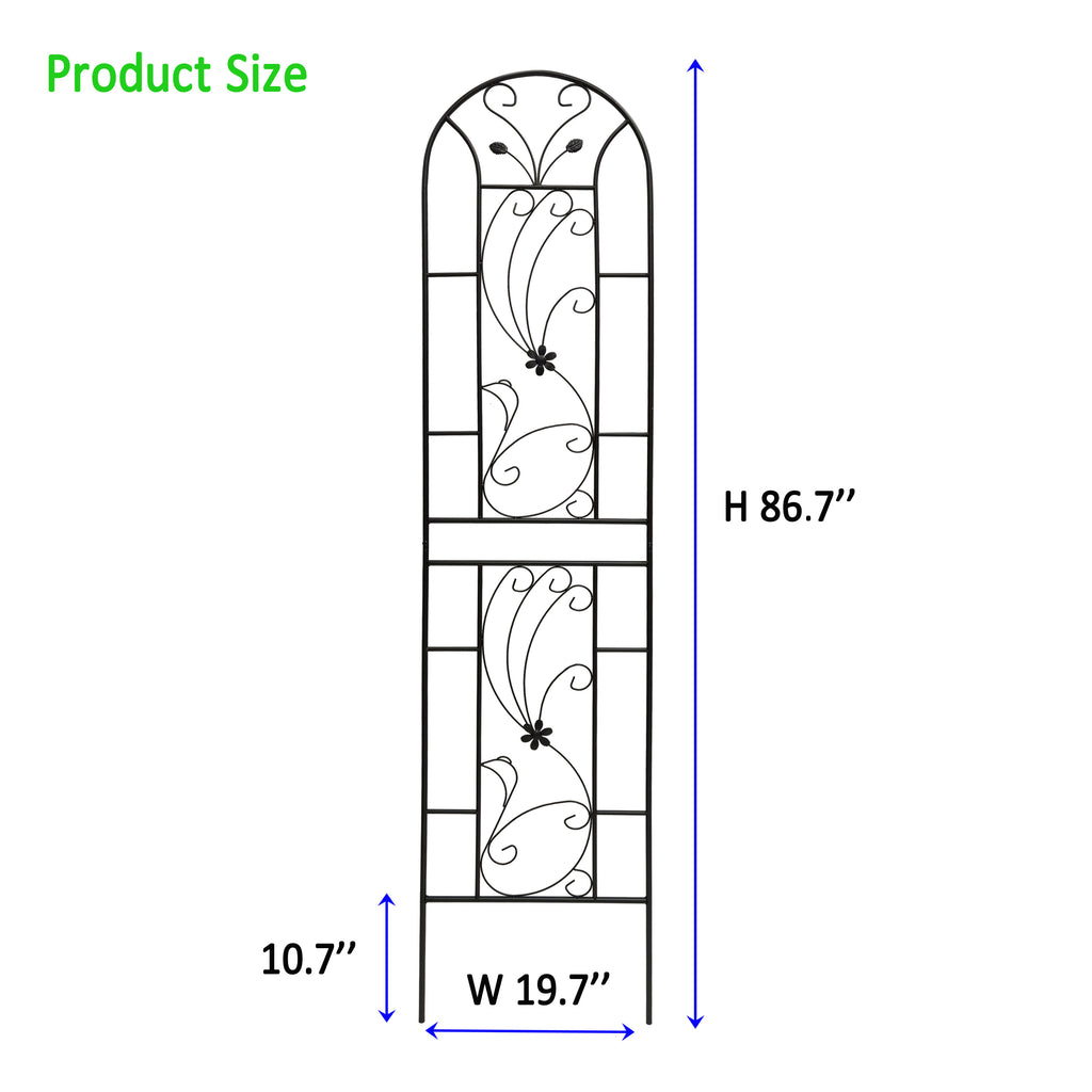 24956045