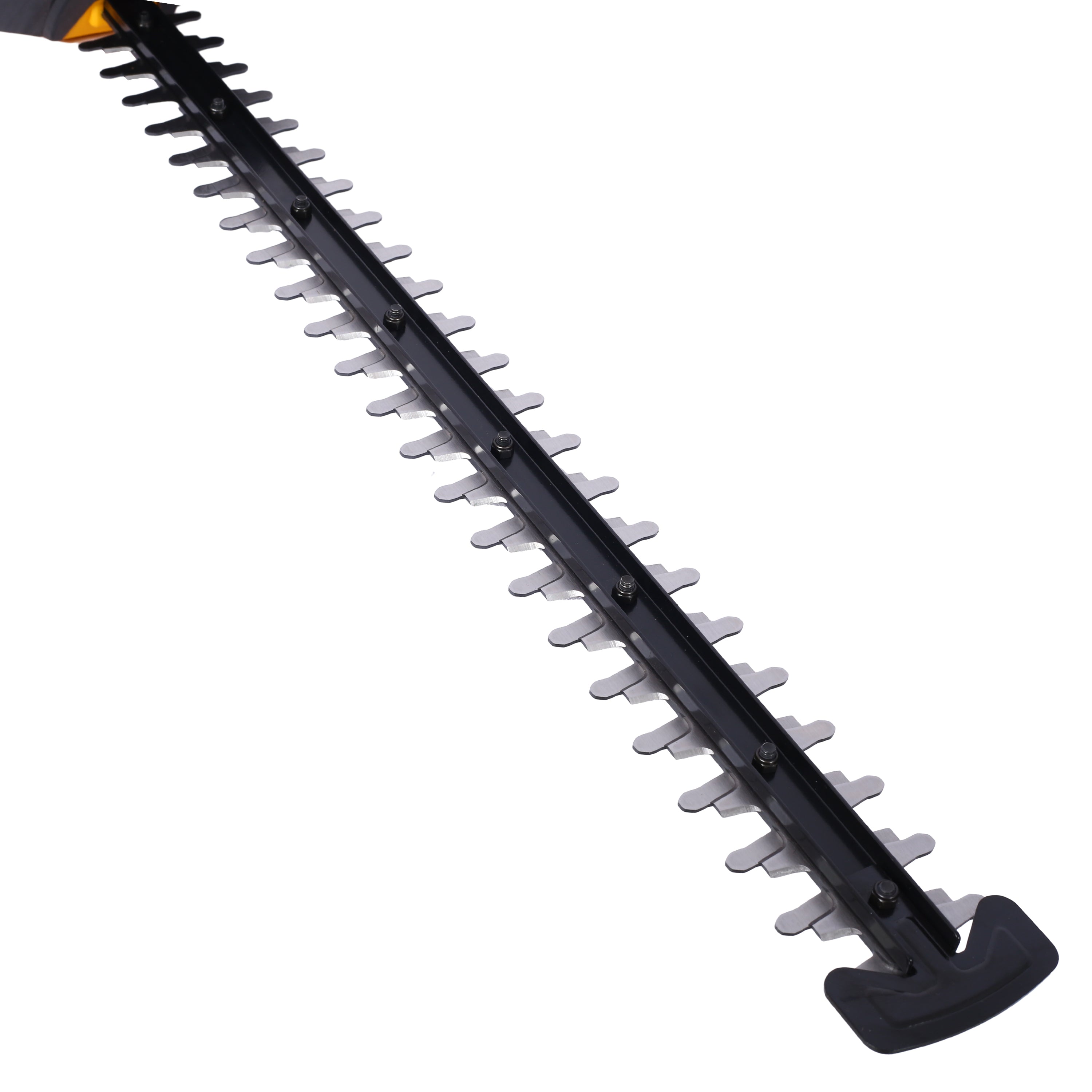 24979930