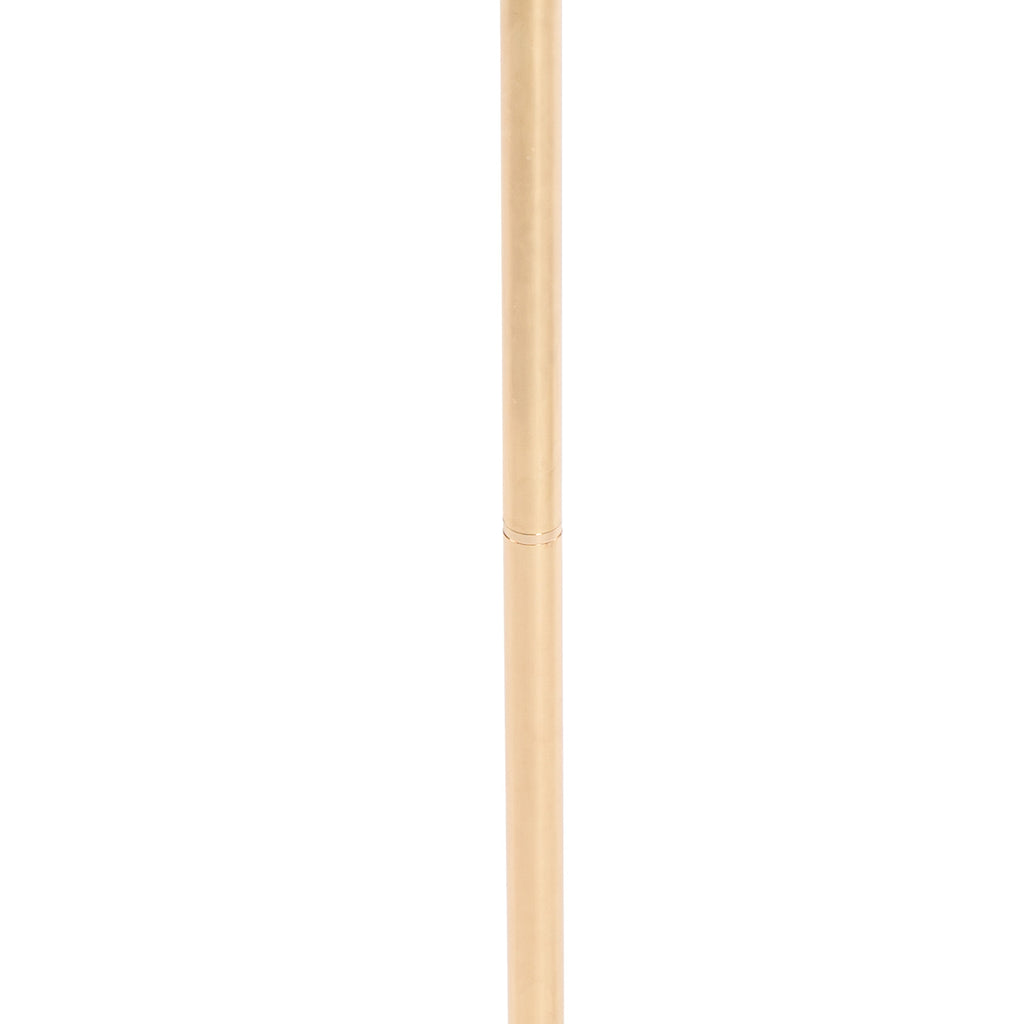 24949558
