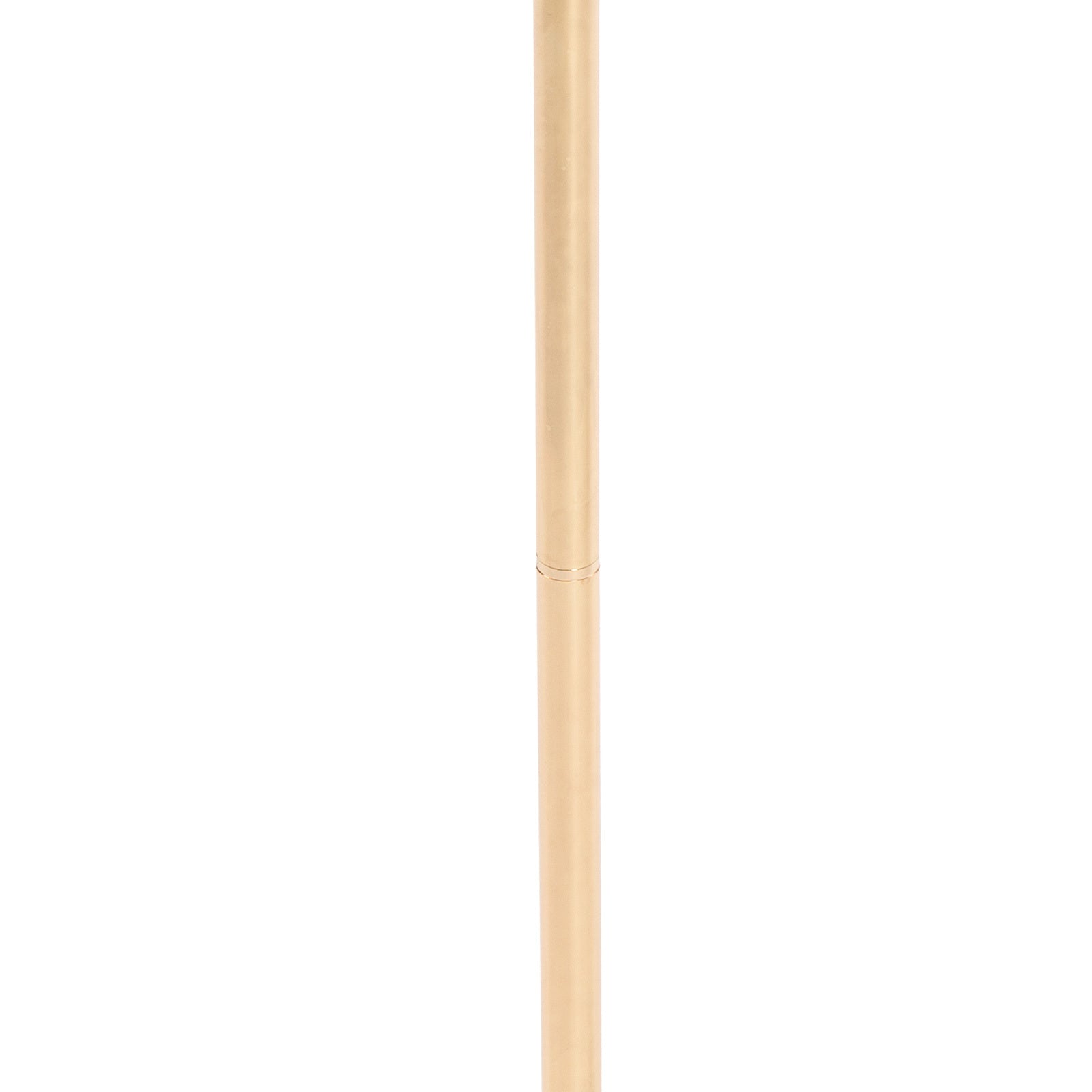 24949558