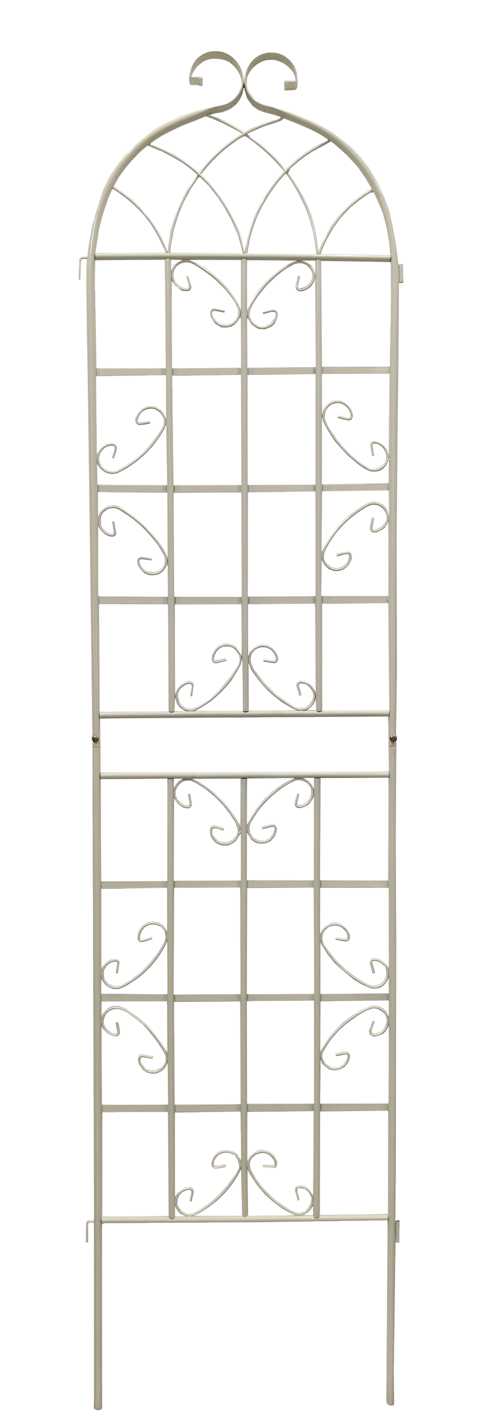 24955483