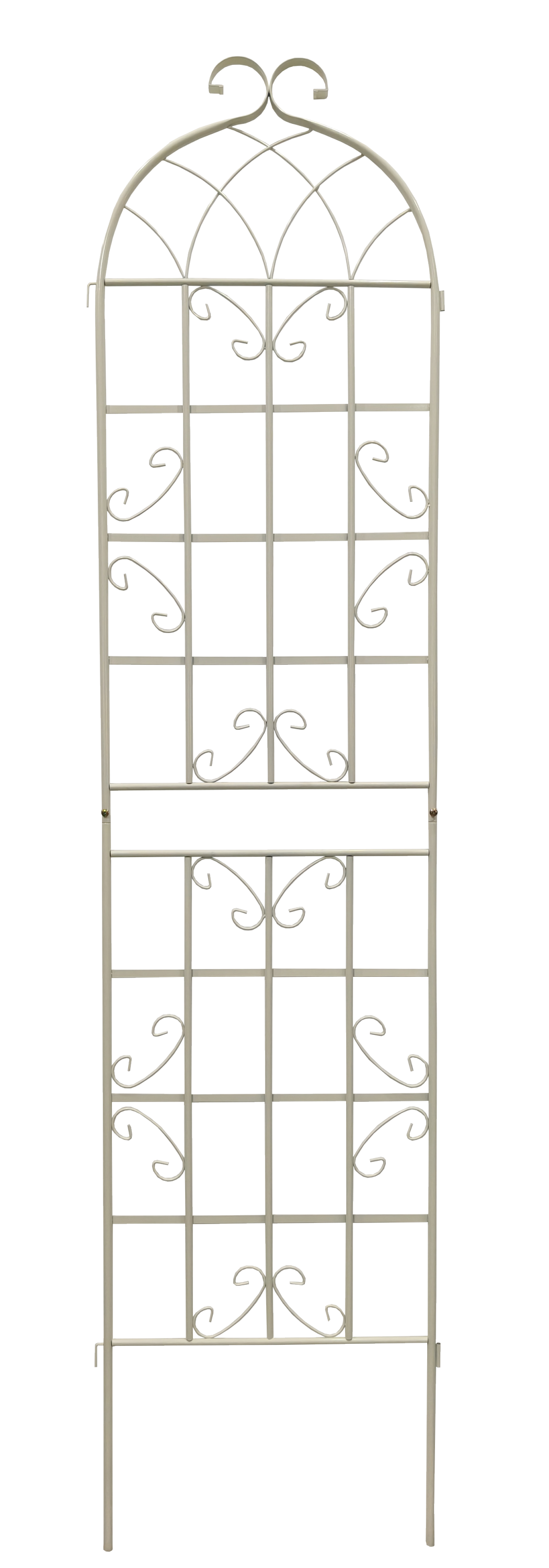 24955483