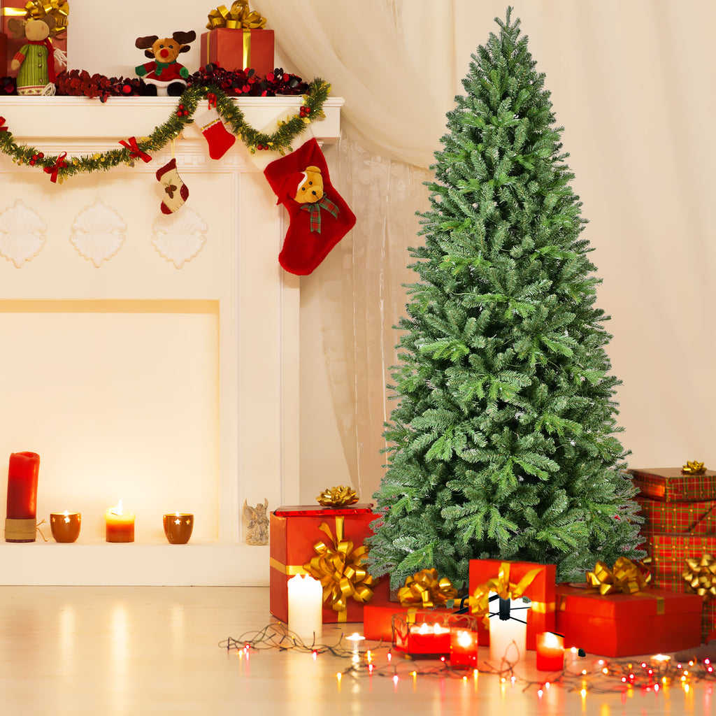 25024578