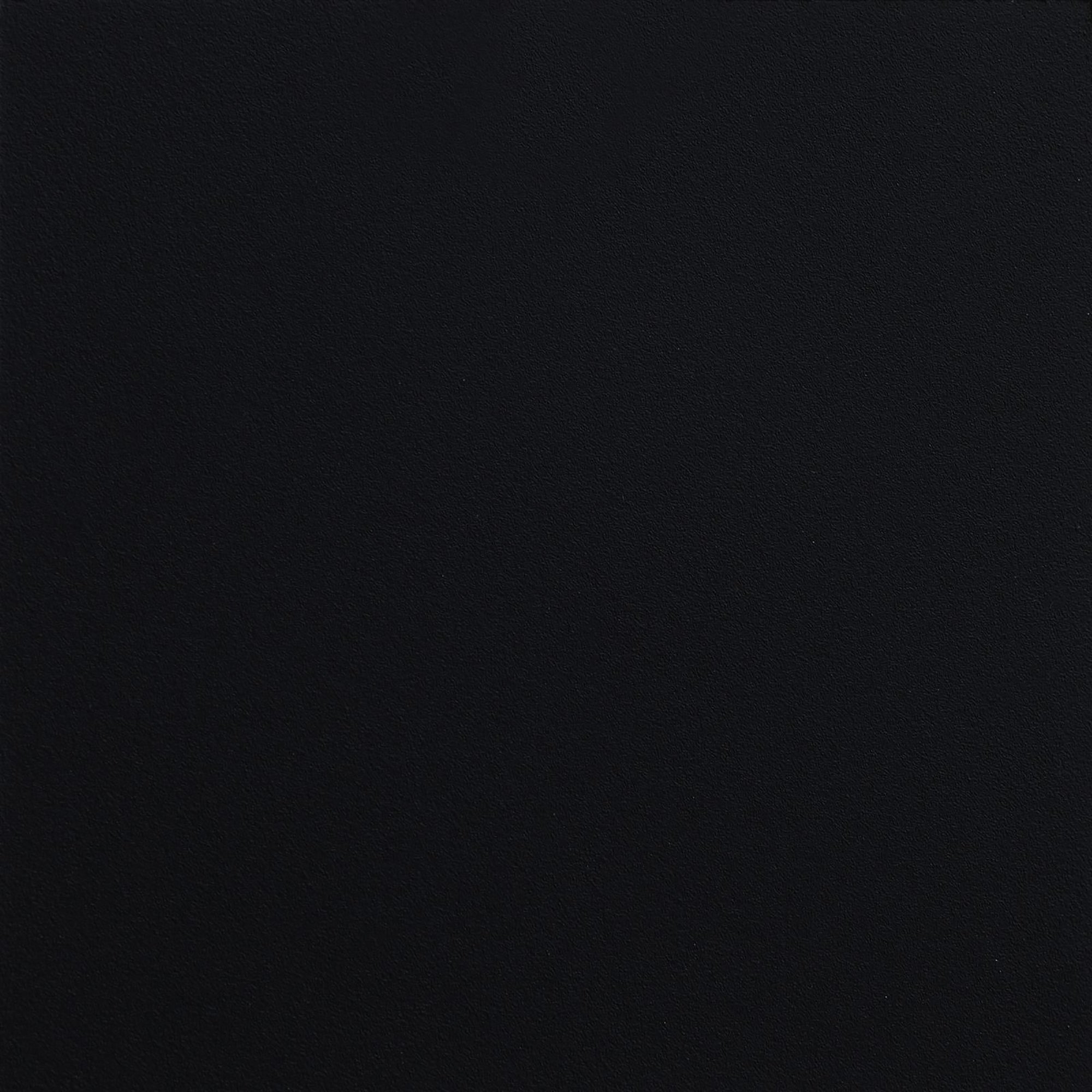 25013231