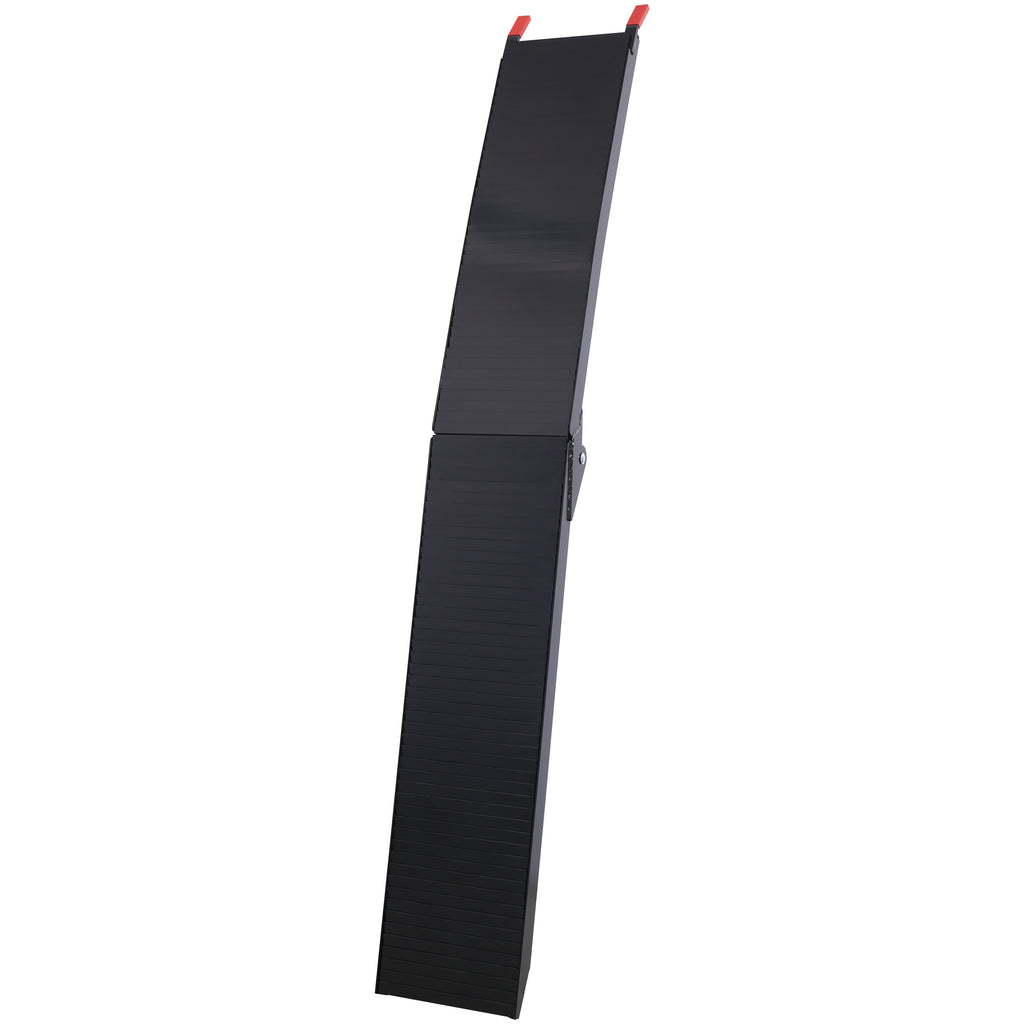 24978546