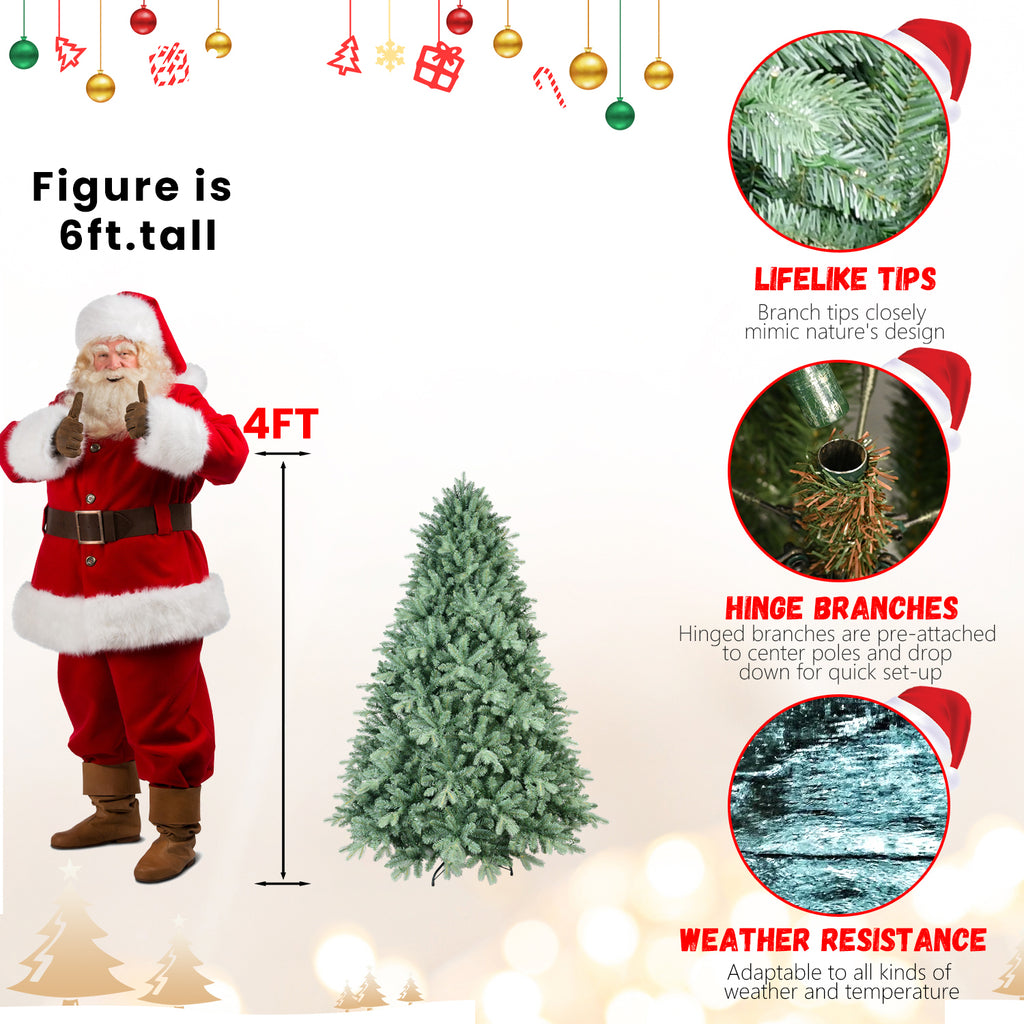 25024465