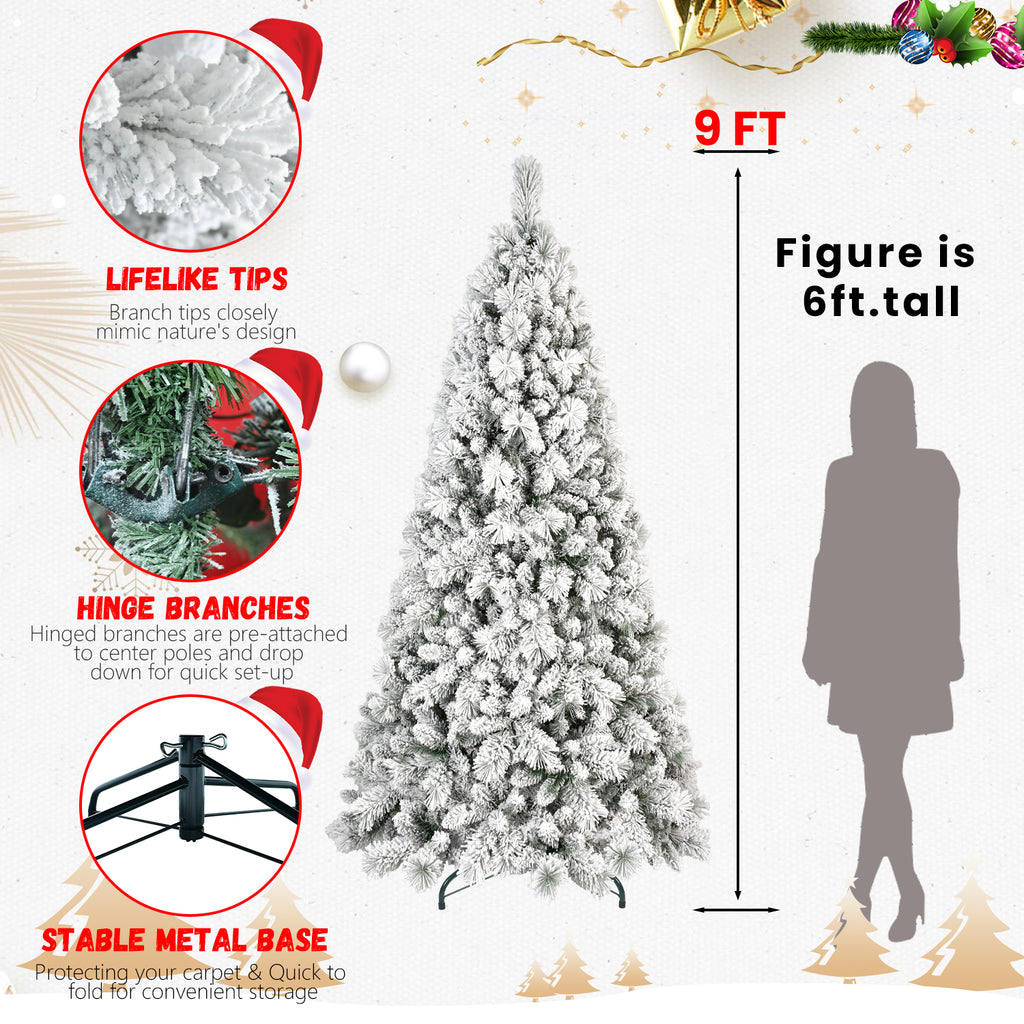 25023789