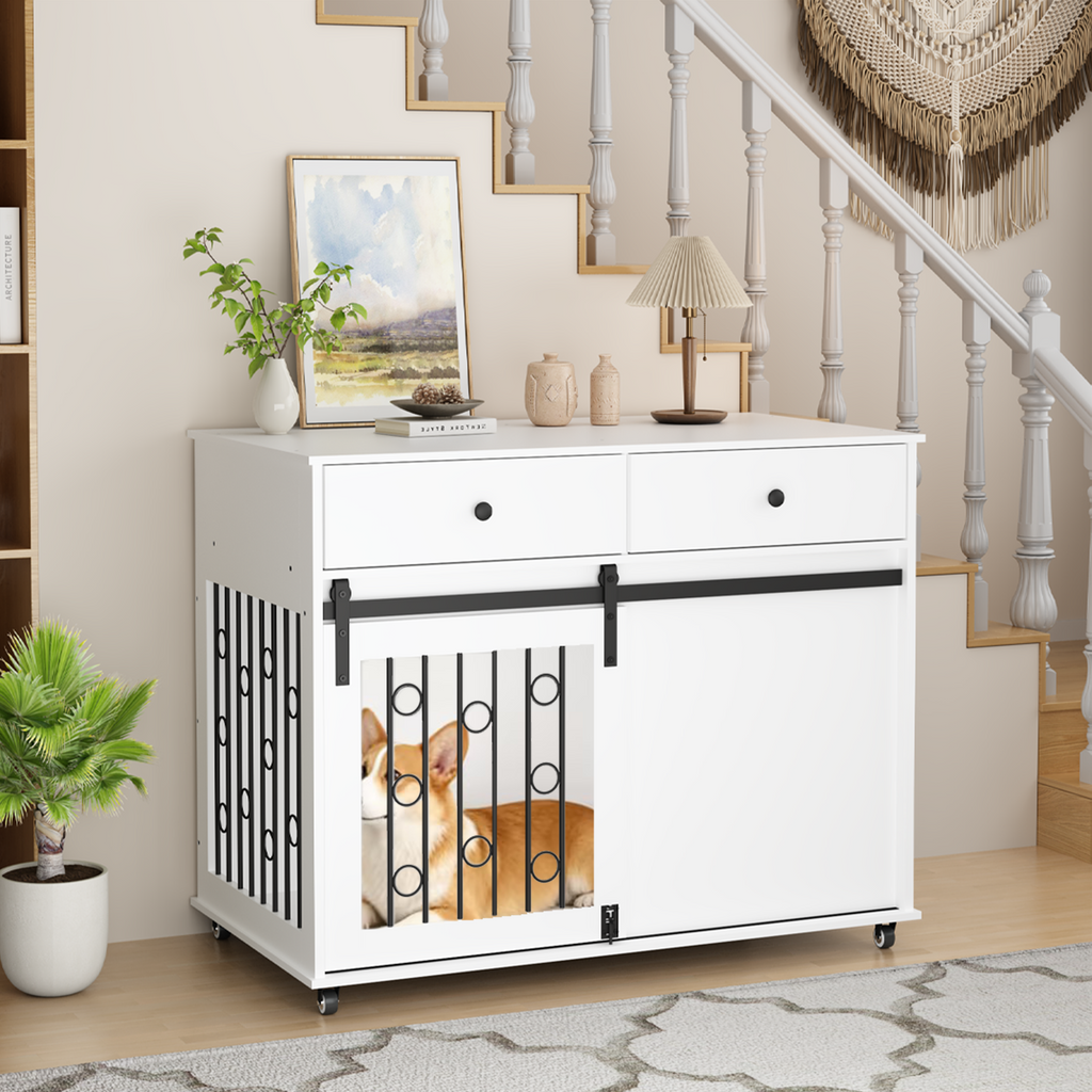 24964020