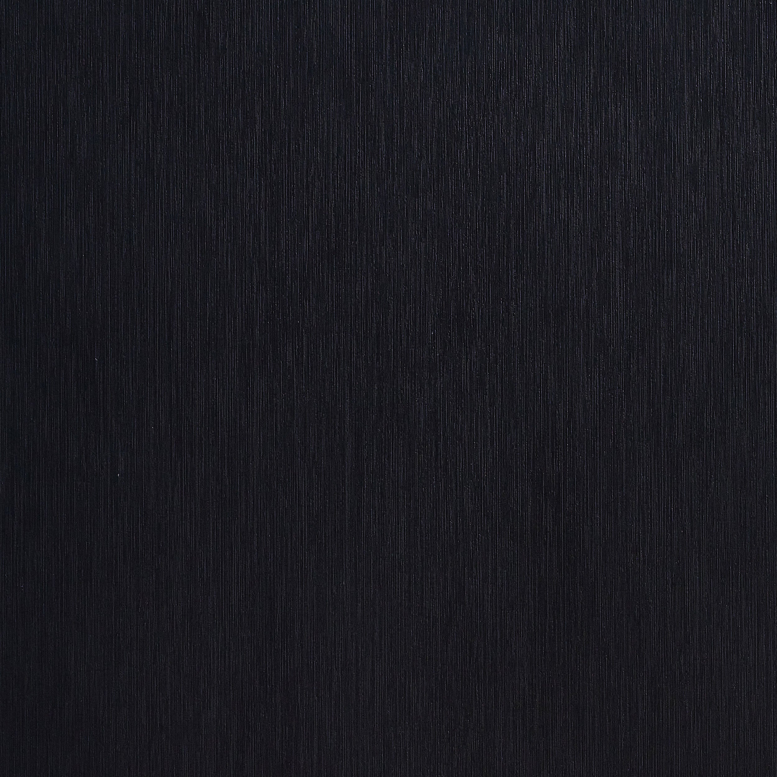 25020529