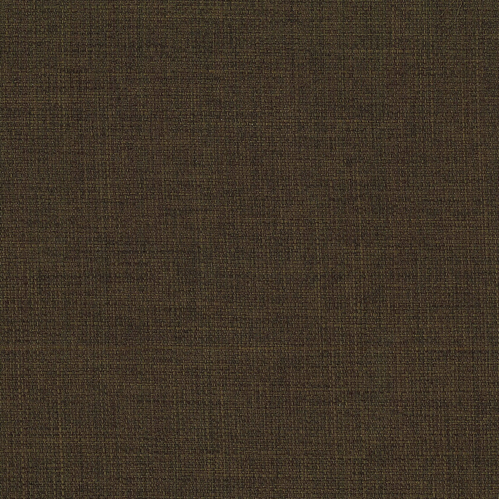 25013691