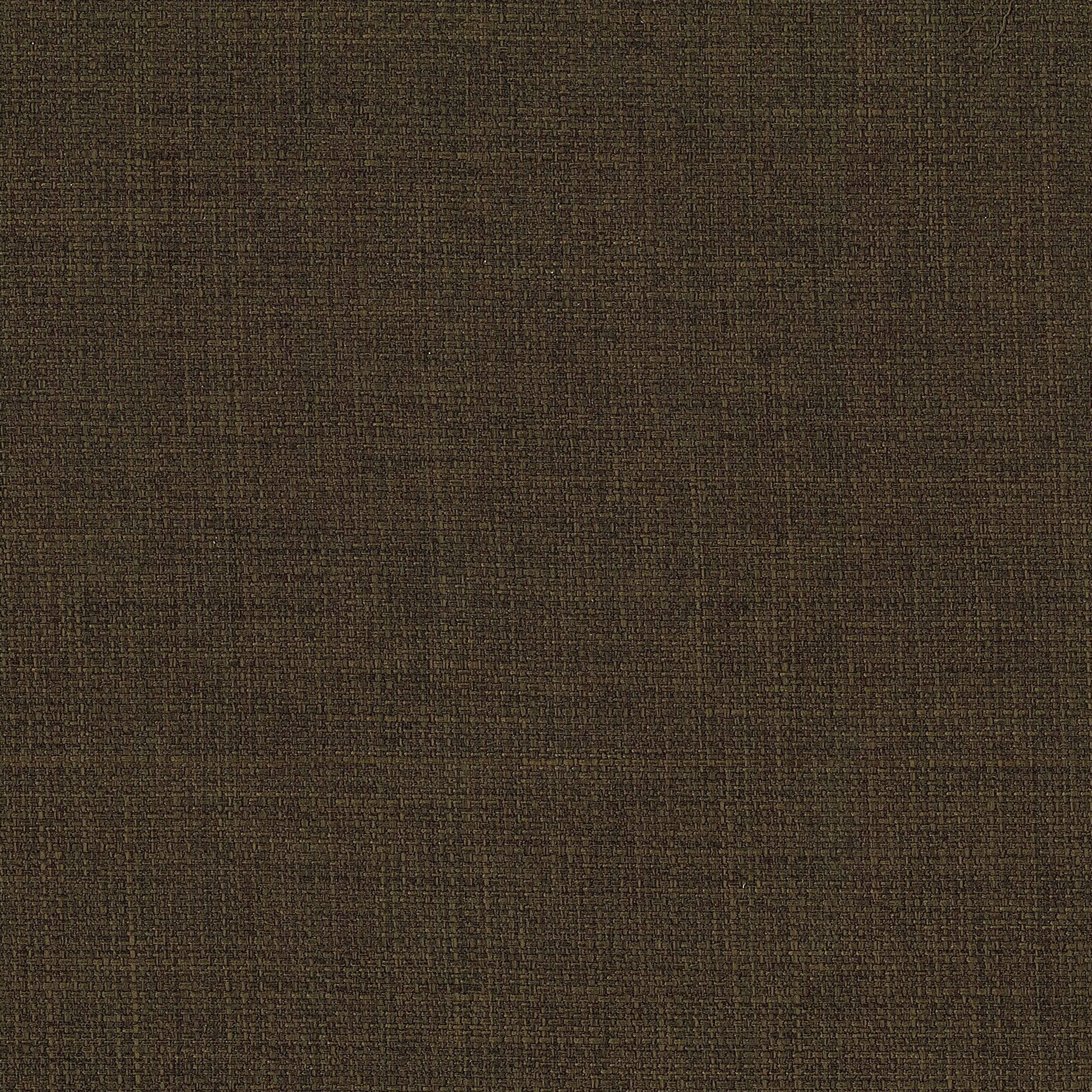 25013691