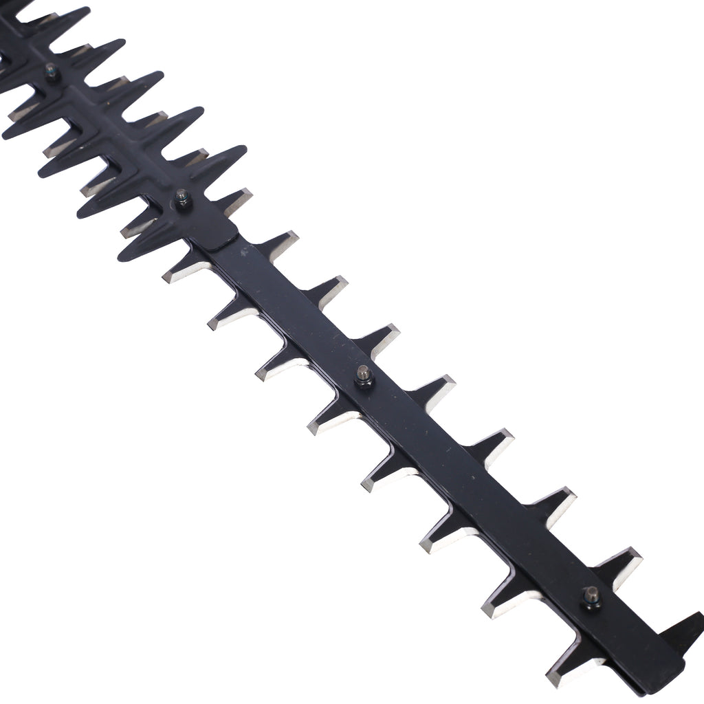 24975409