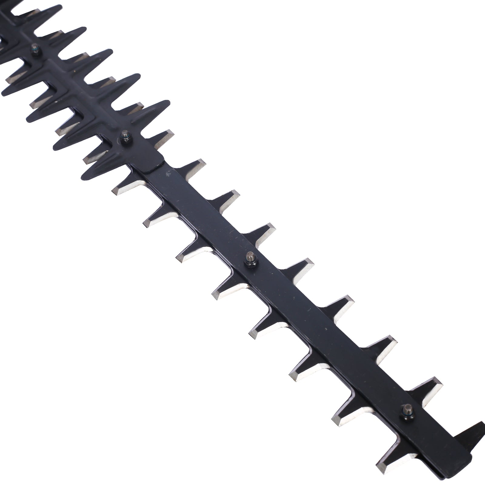 24975409
