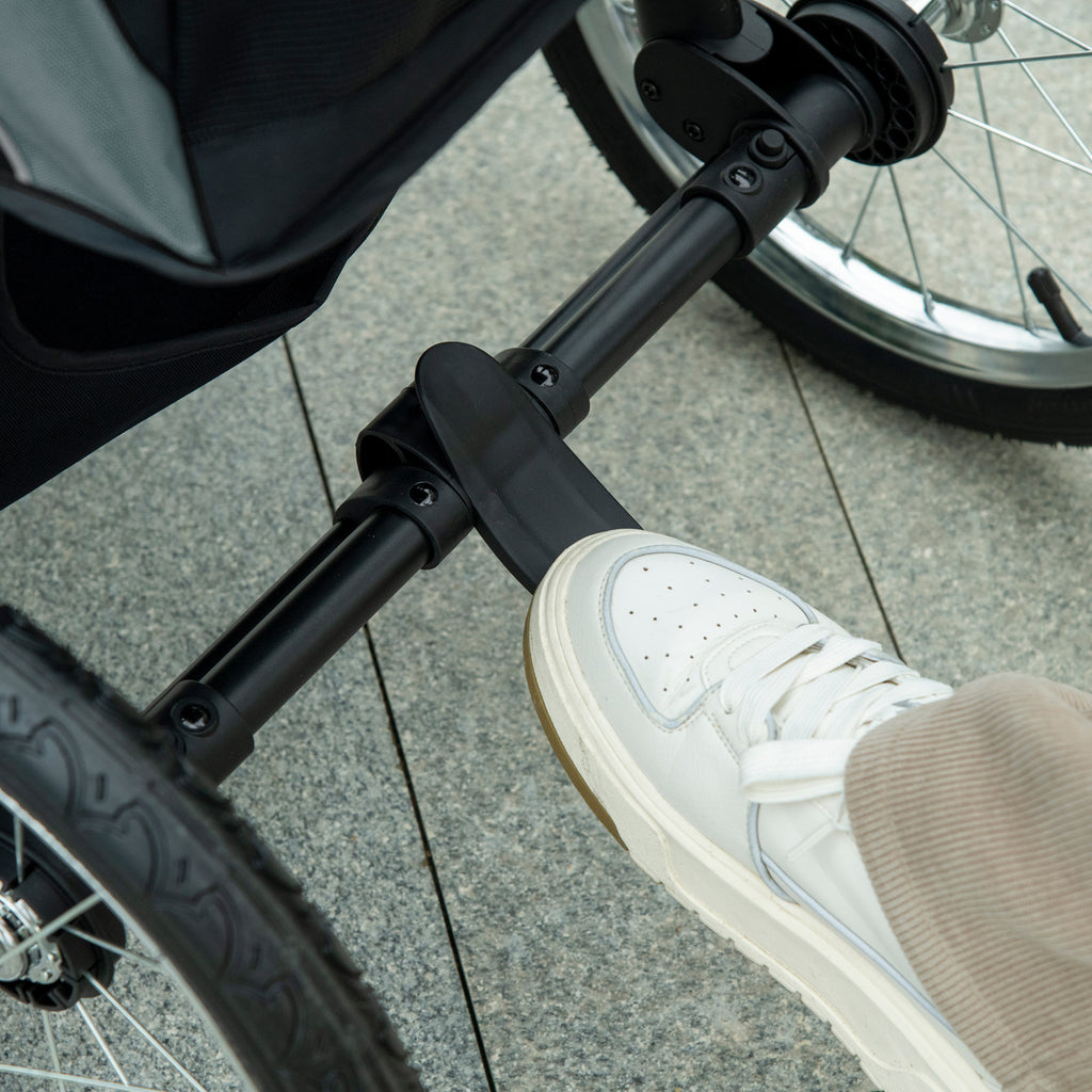 24997277