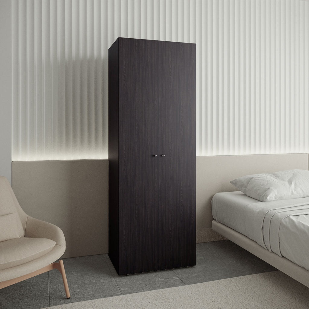 Home 2 Doors Closet System Armoire, Hanging Rod and Storage Shelf, Modern Armoire for Bedroom Organization Storage, Black