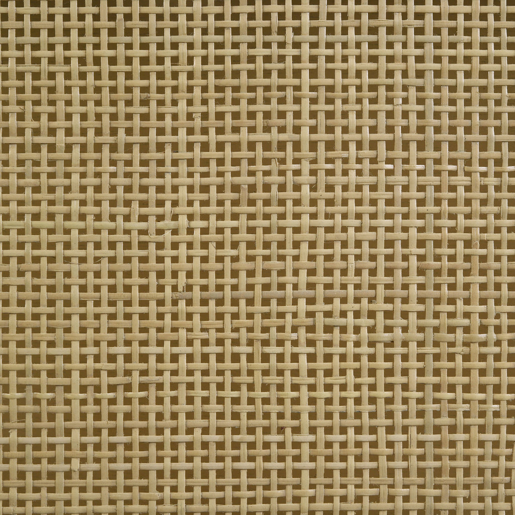 25019480
