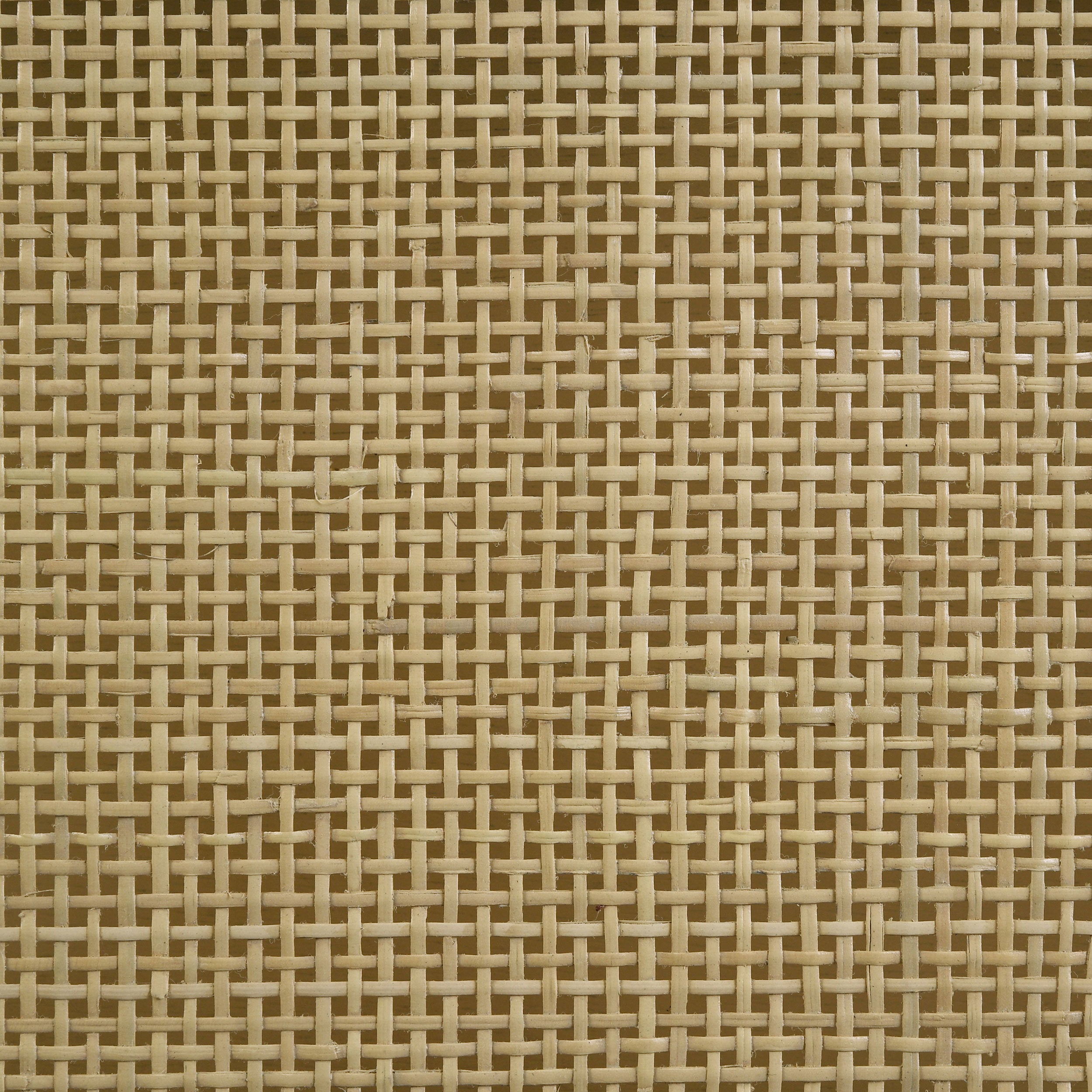 25019480