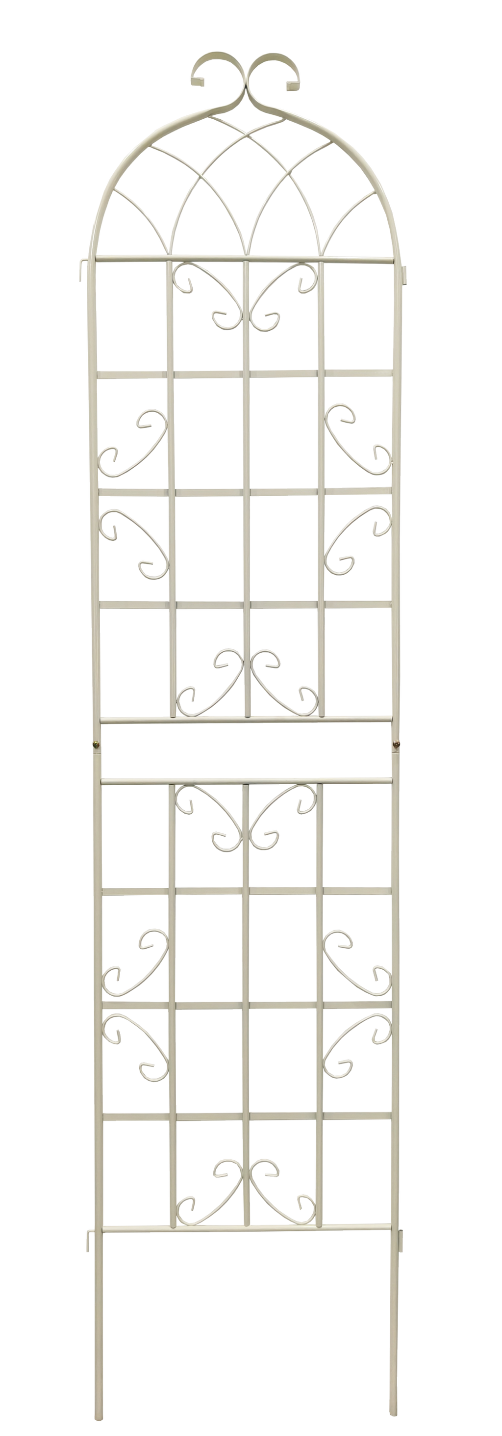 24955569