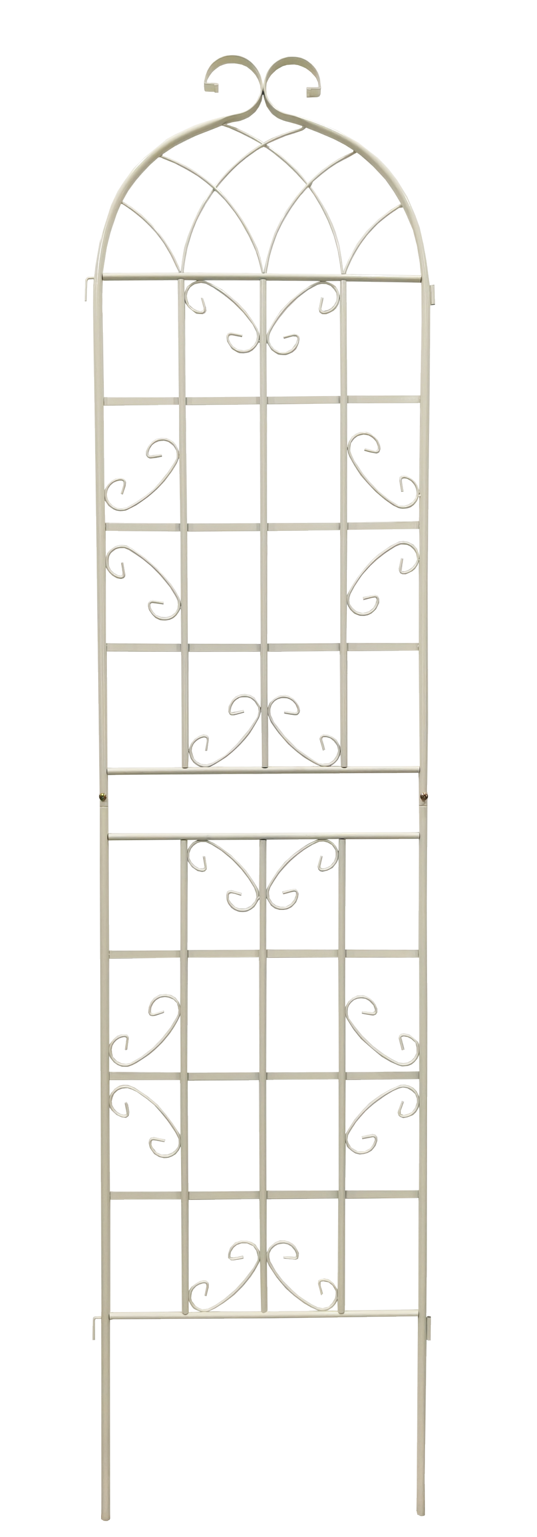 24955569