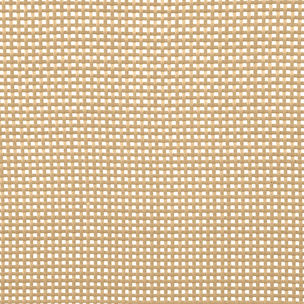 25016536