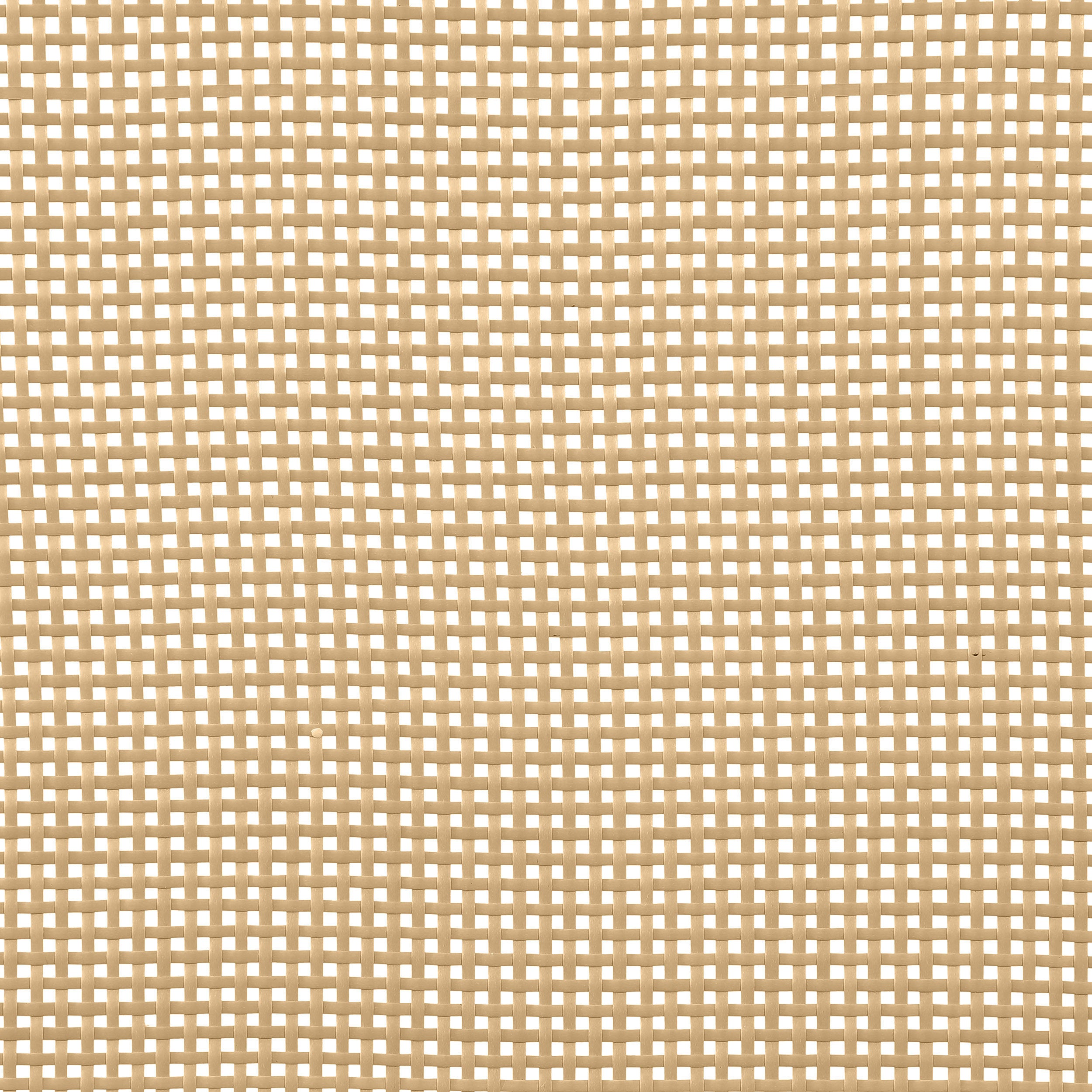 25016536