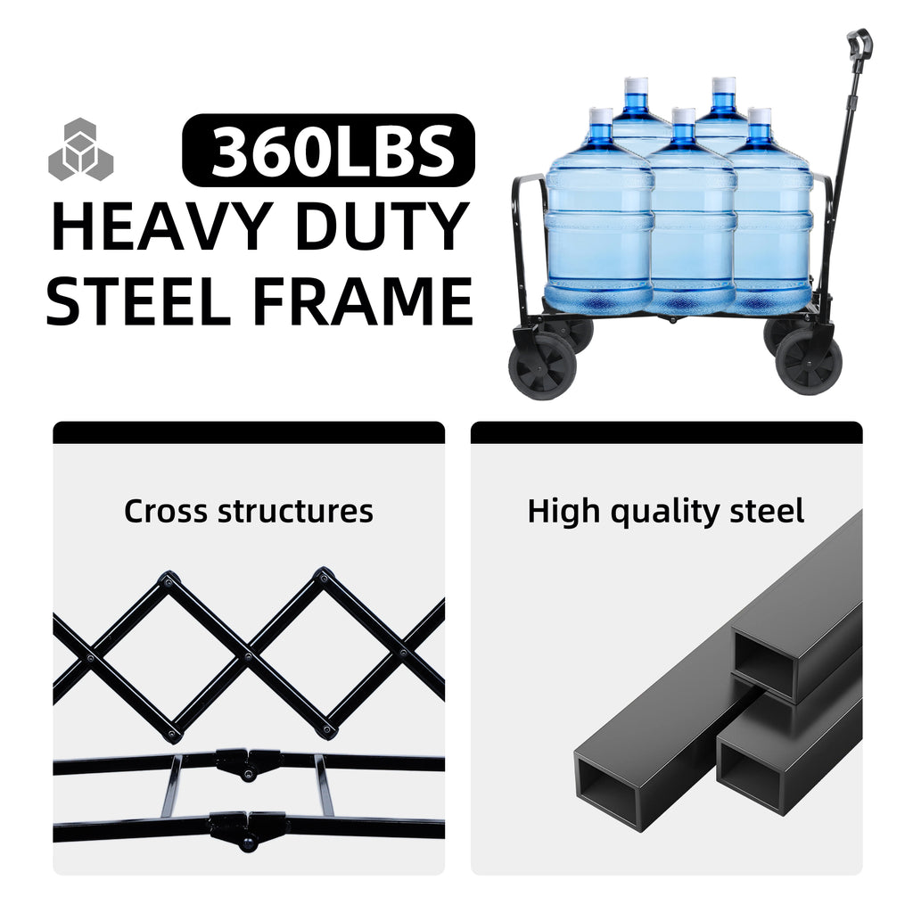 24974004