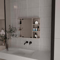 Roseburg 6-Shelf Medicine Cabinet with Mirorr Light Grey