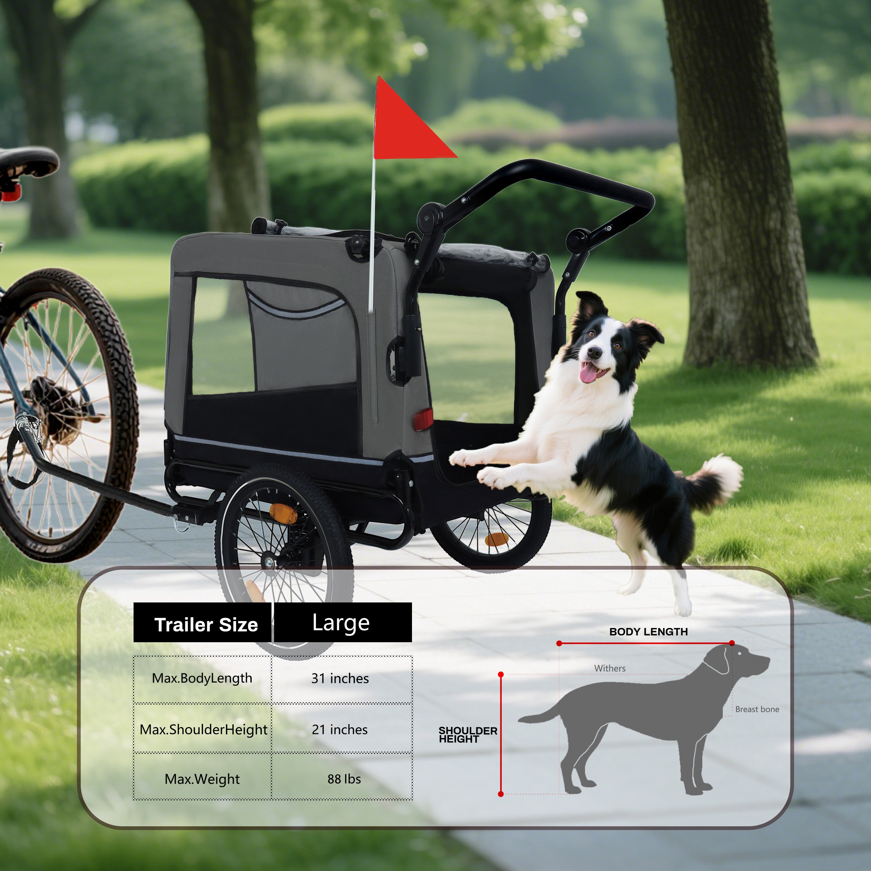 24959856