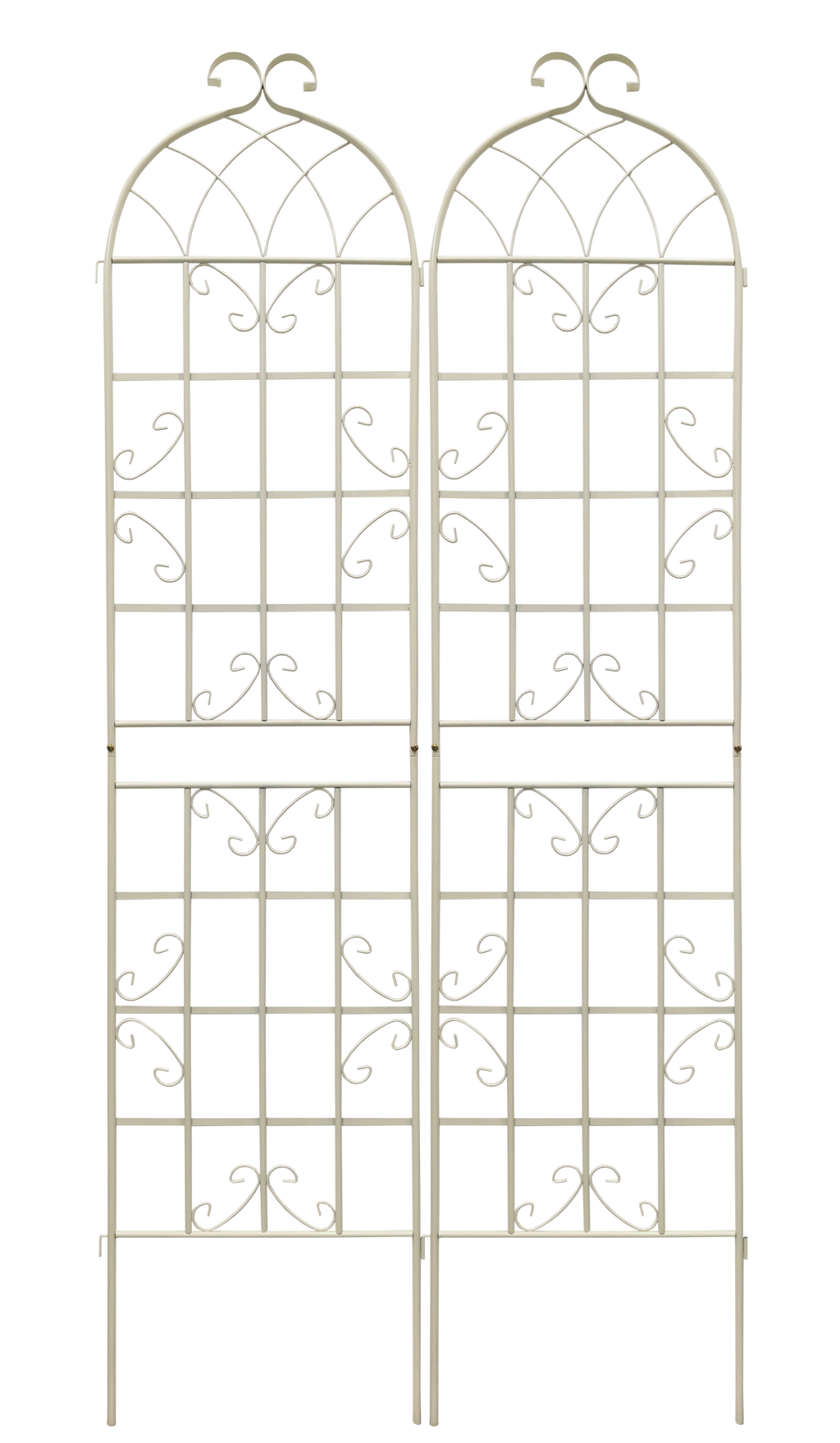 24955484