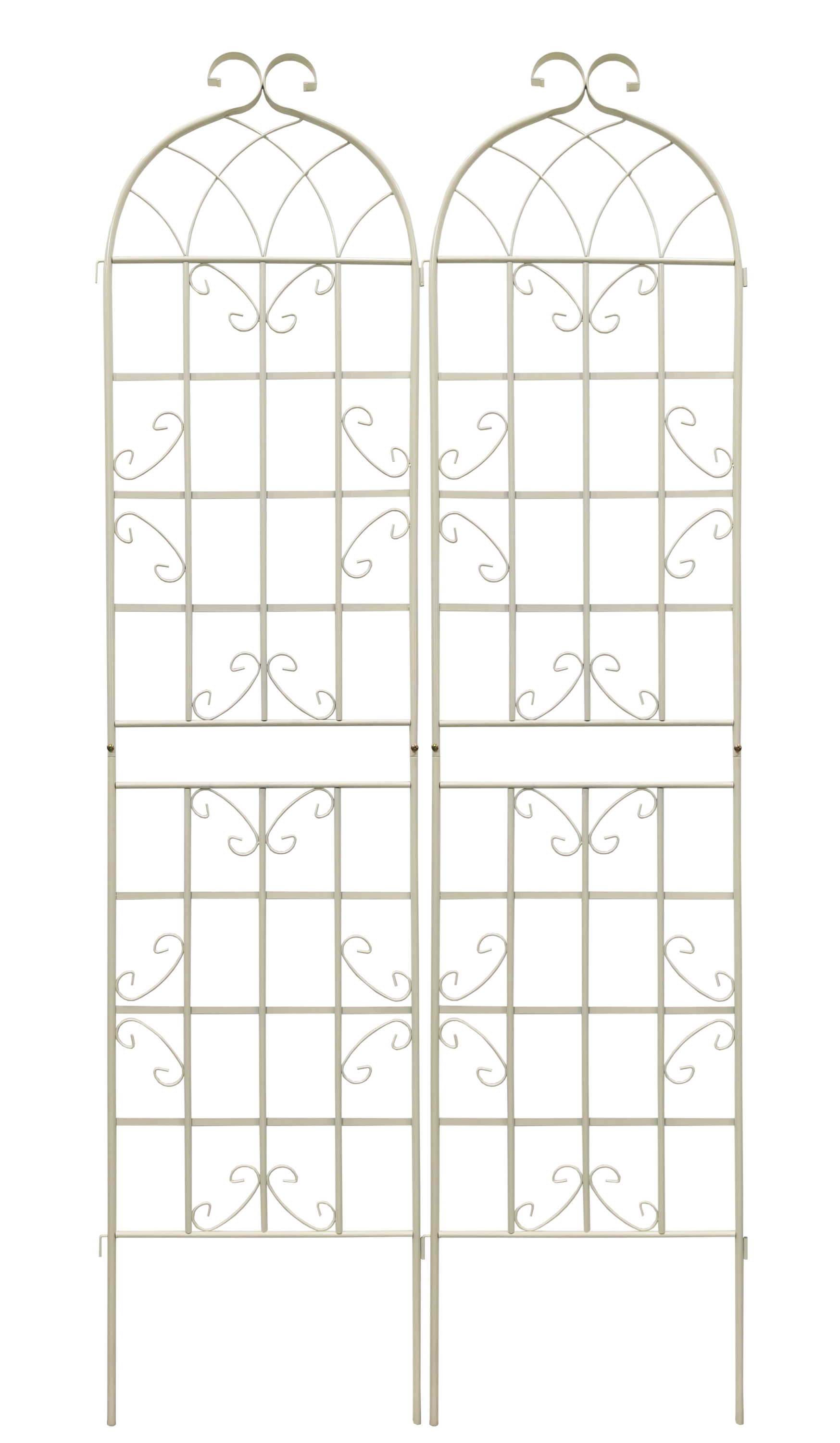 24955484