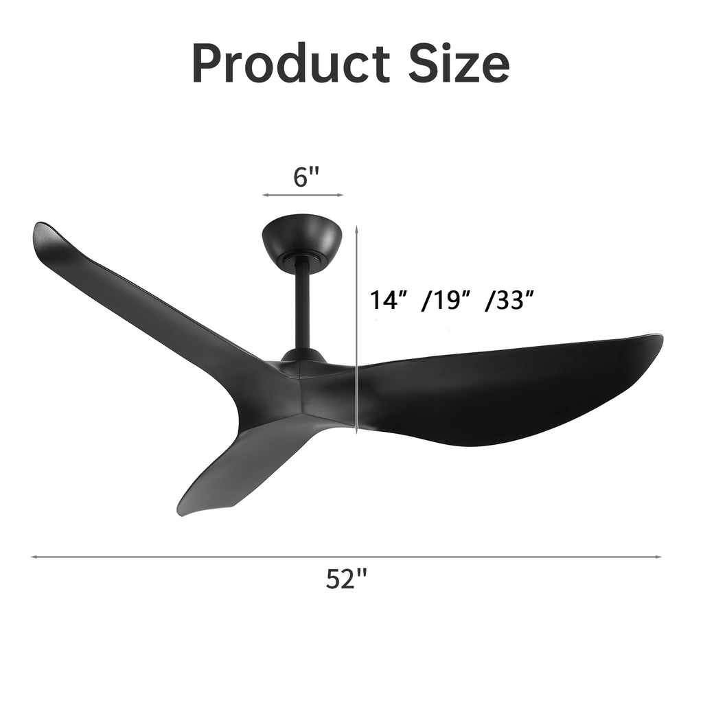 24945081