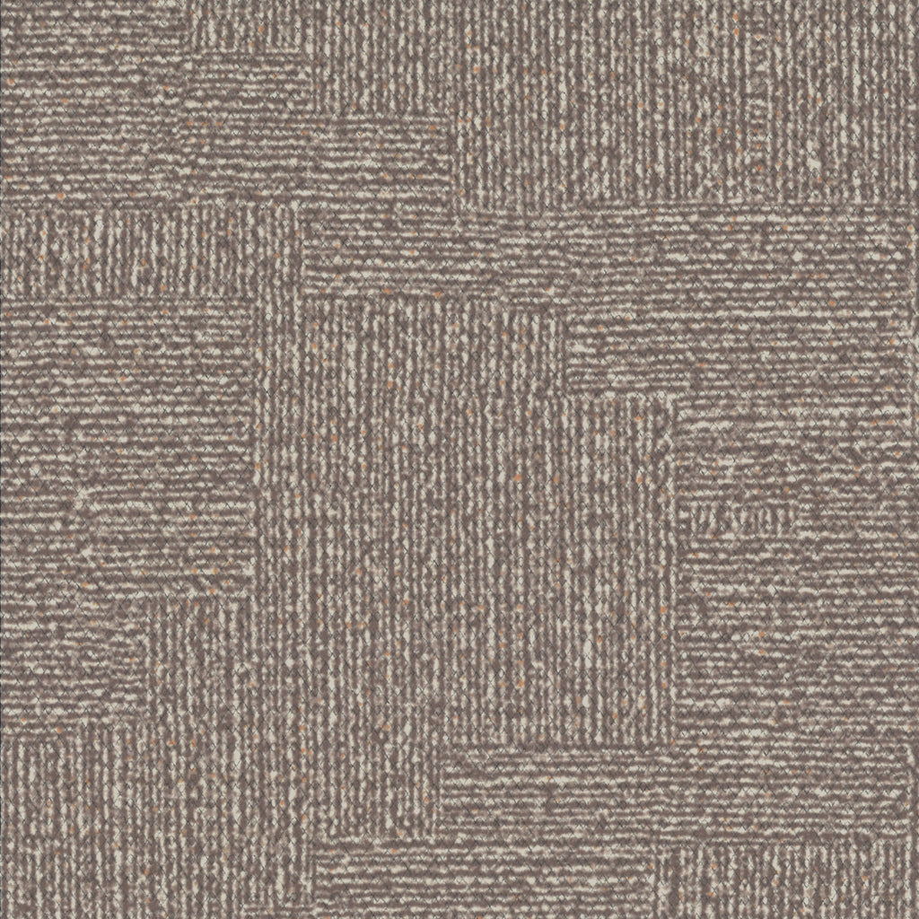 25016434