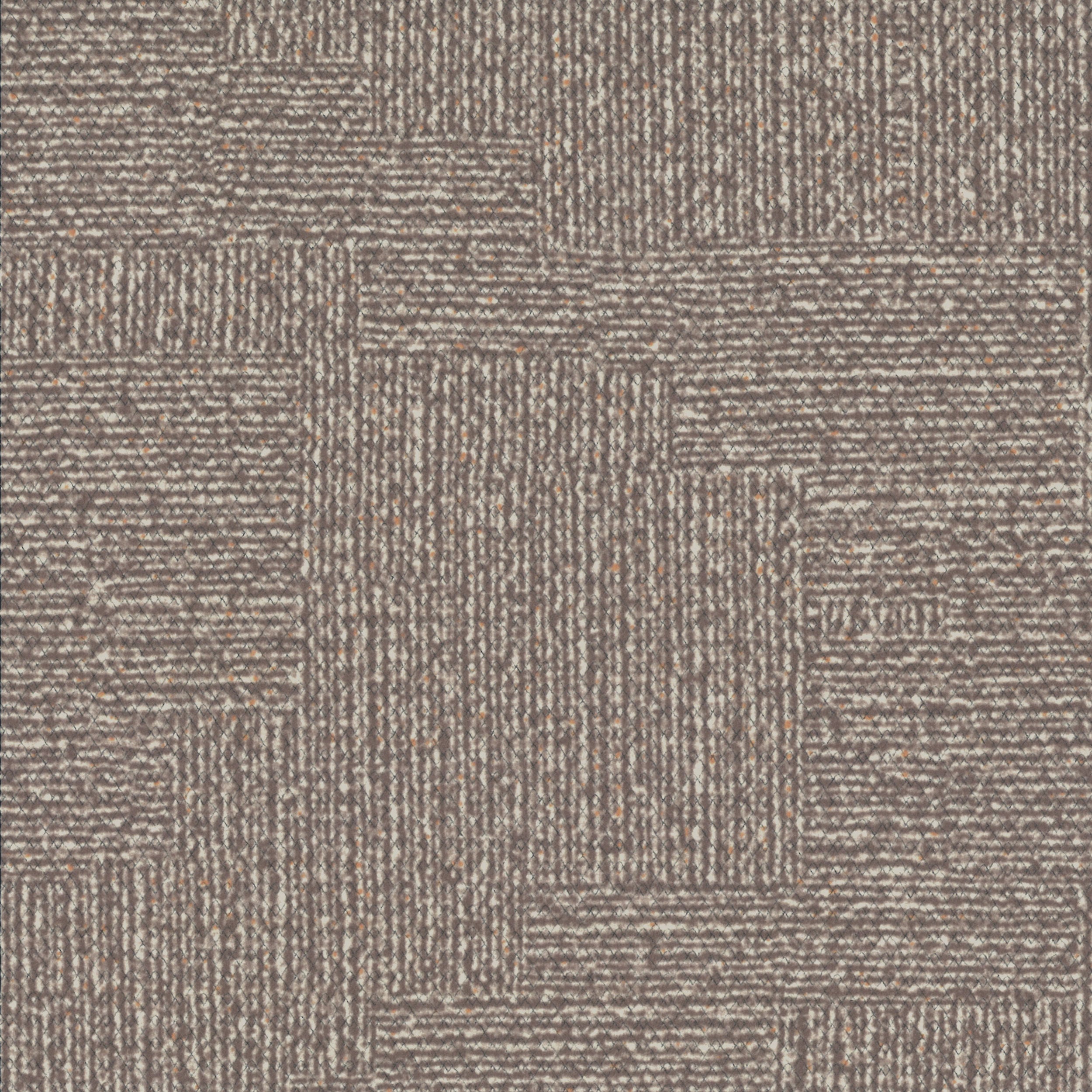 25016434