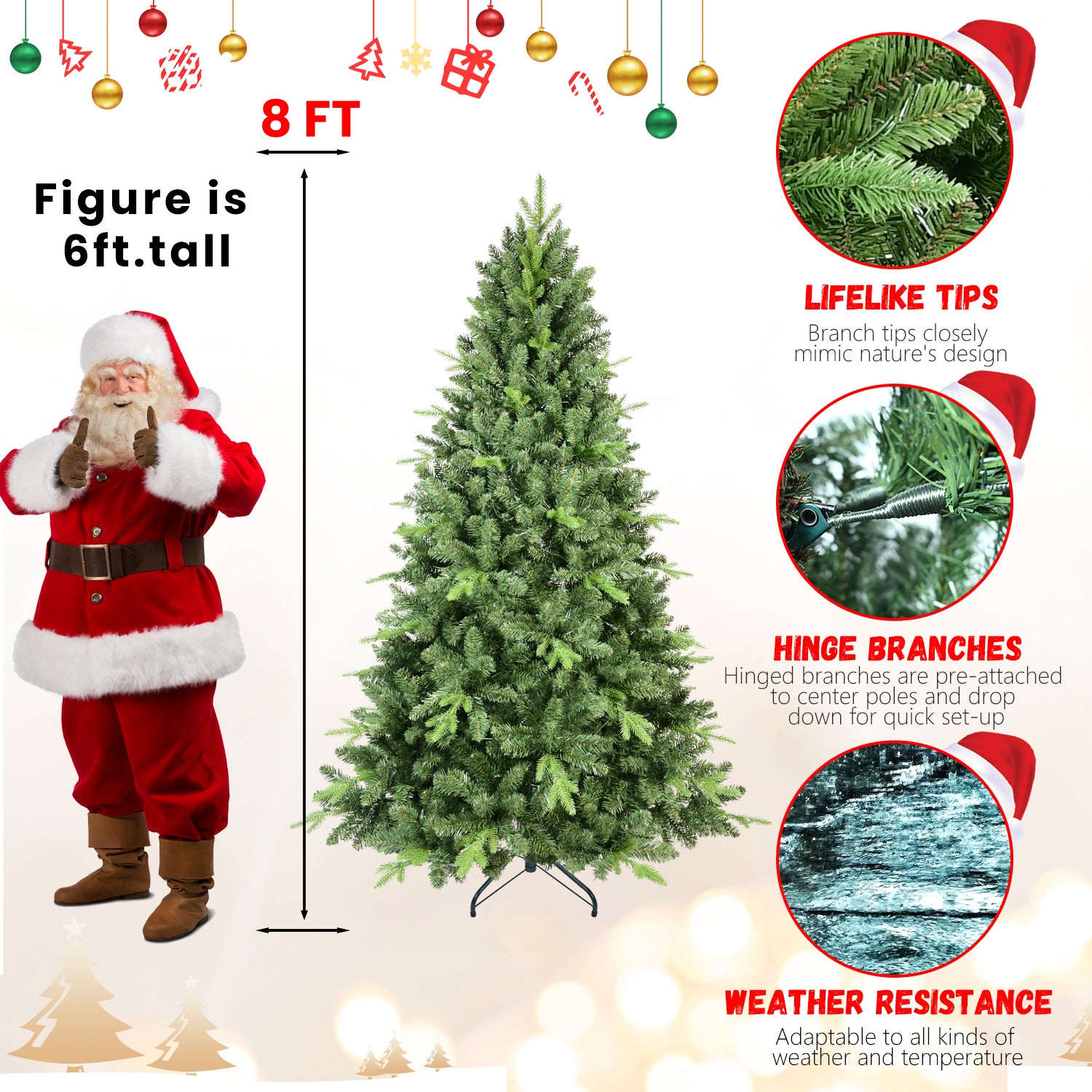 25024606