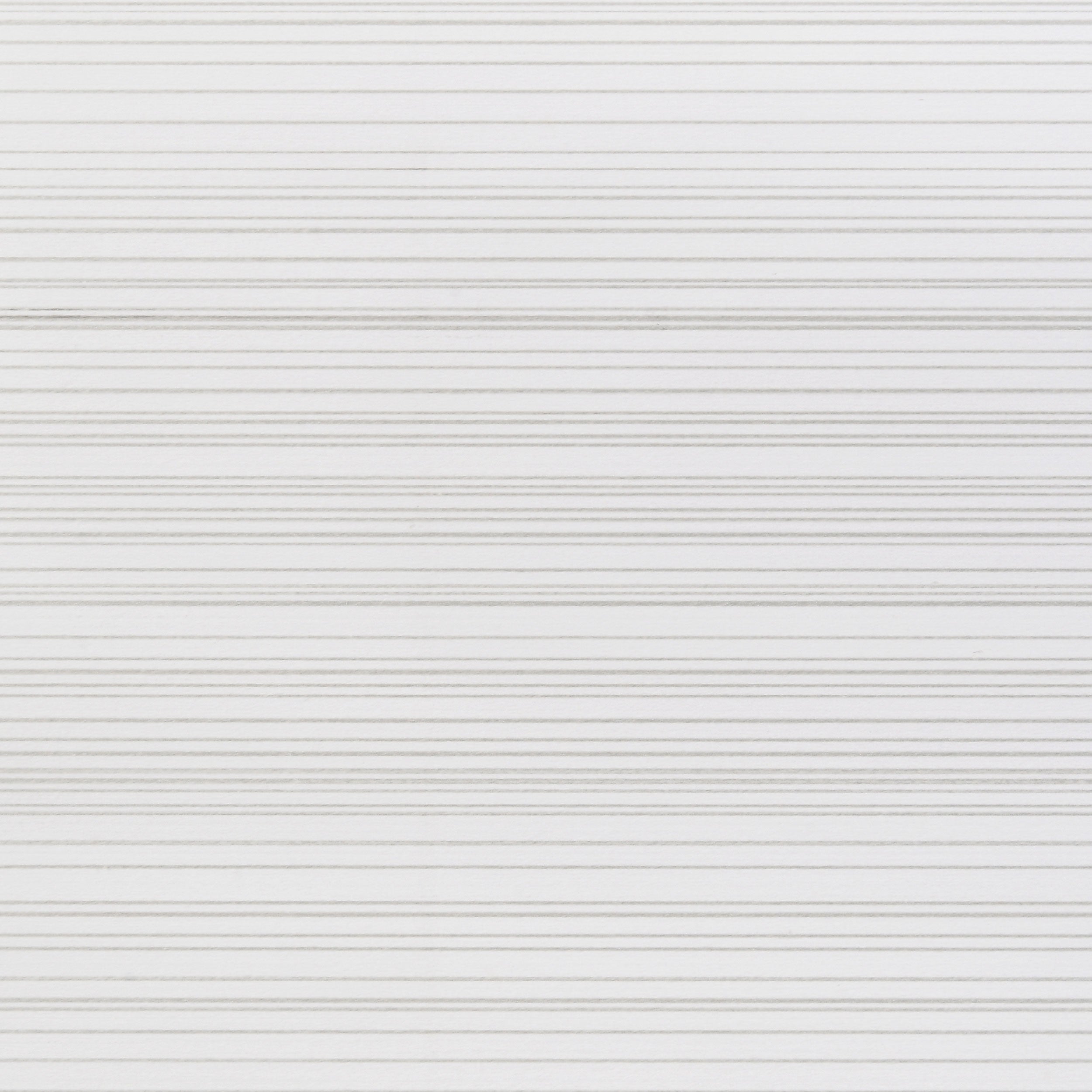 25013393