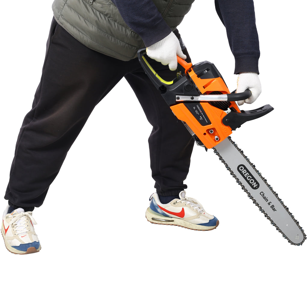 24980420