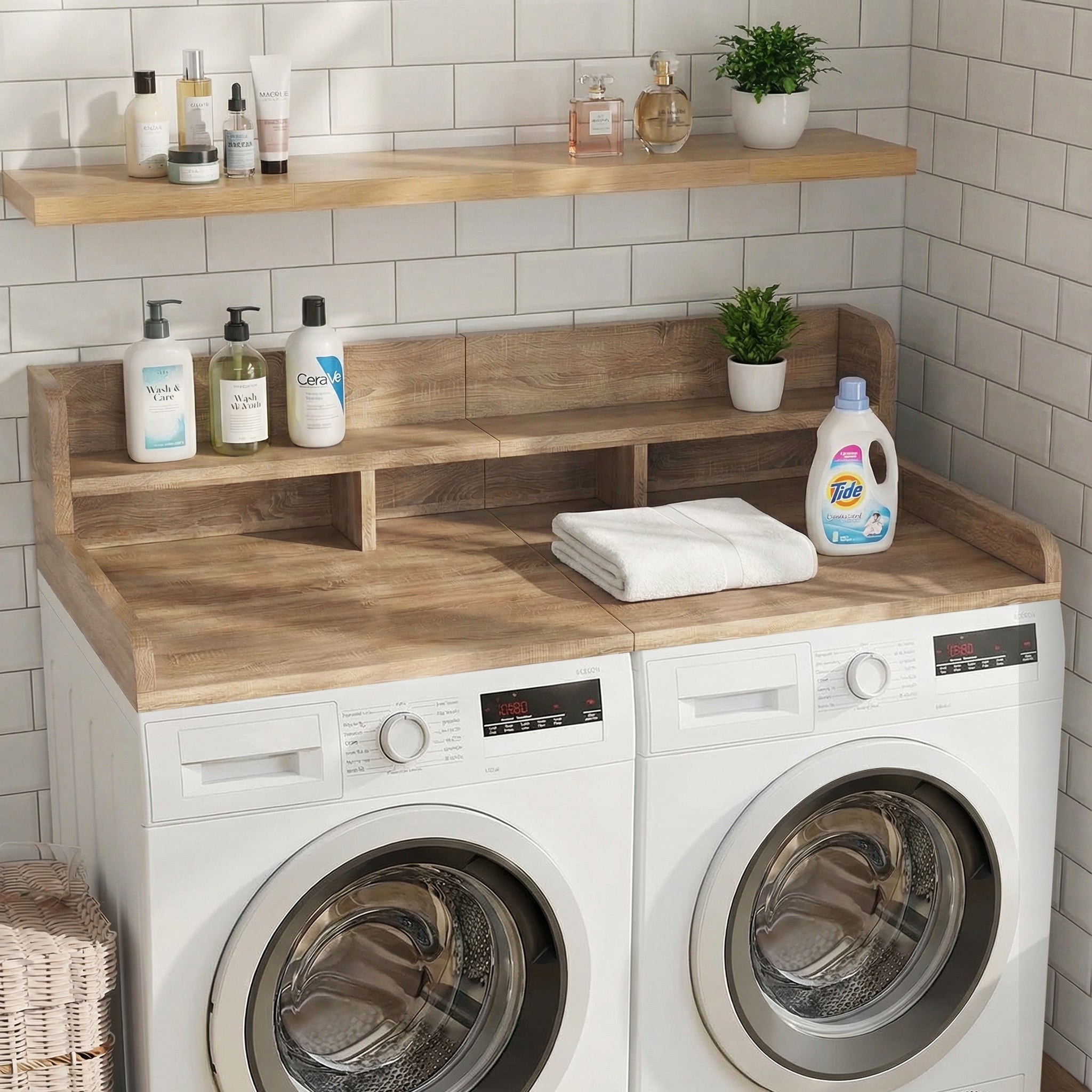 25023279